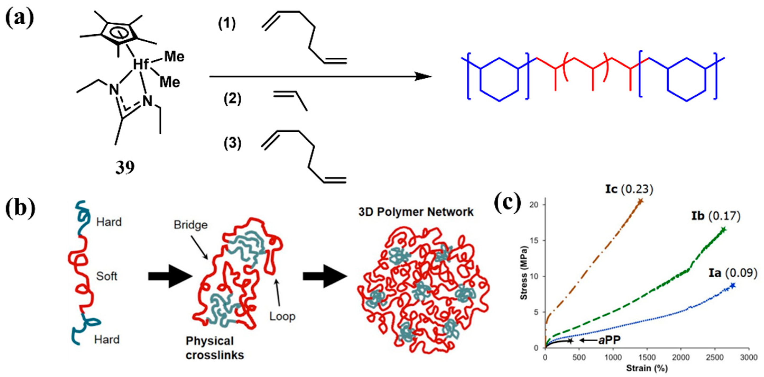 Polymers 16 02717 g014