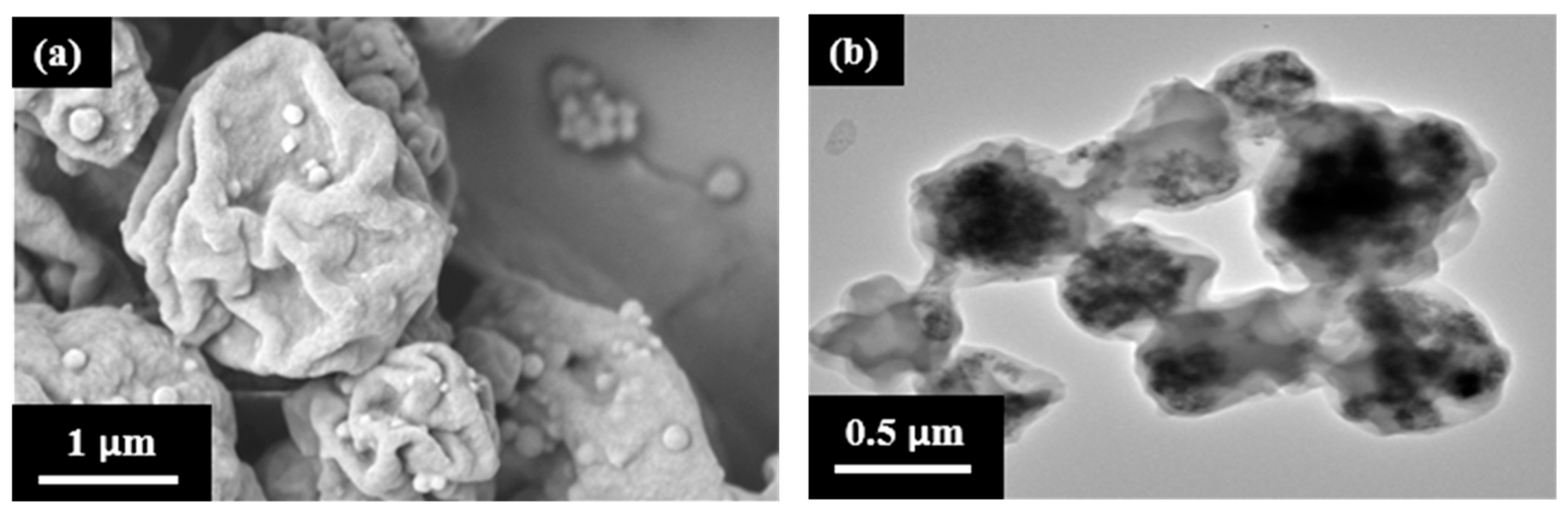 Polymers 16 02728 g005