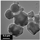 Polymers 16 02728 i001
