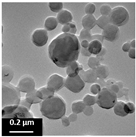 Polymers 16 02728 i003