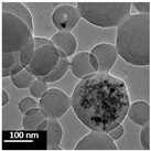 Polymers 16 02728 i012