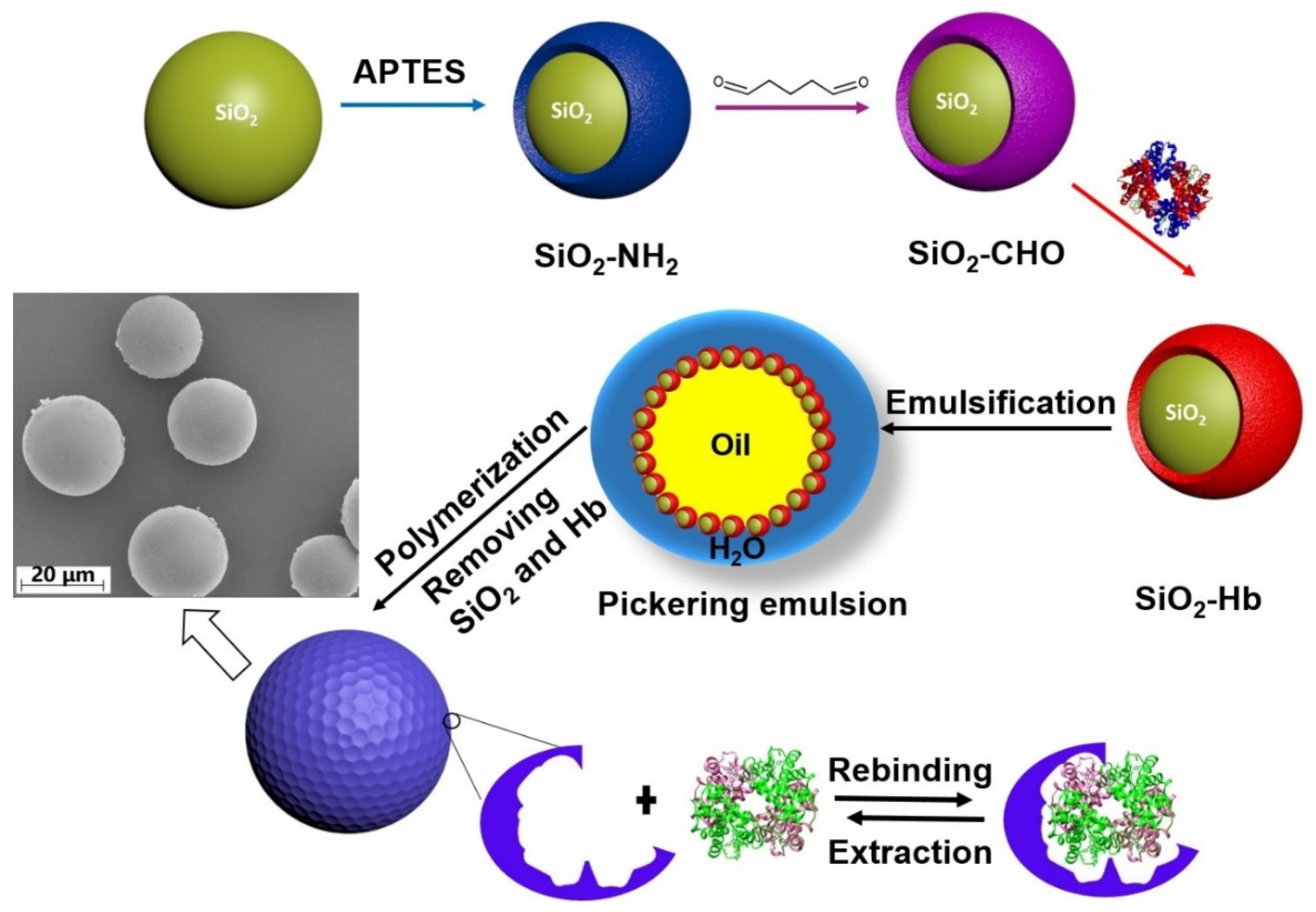 Polymers 16 02734 sch001