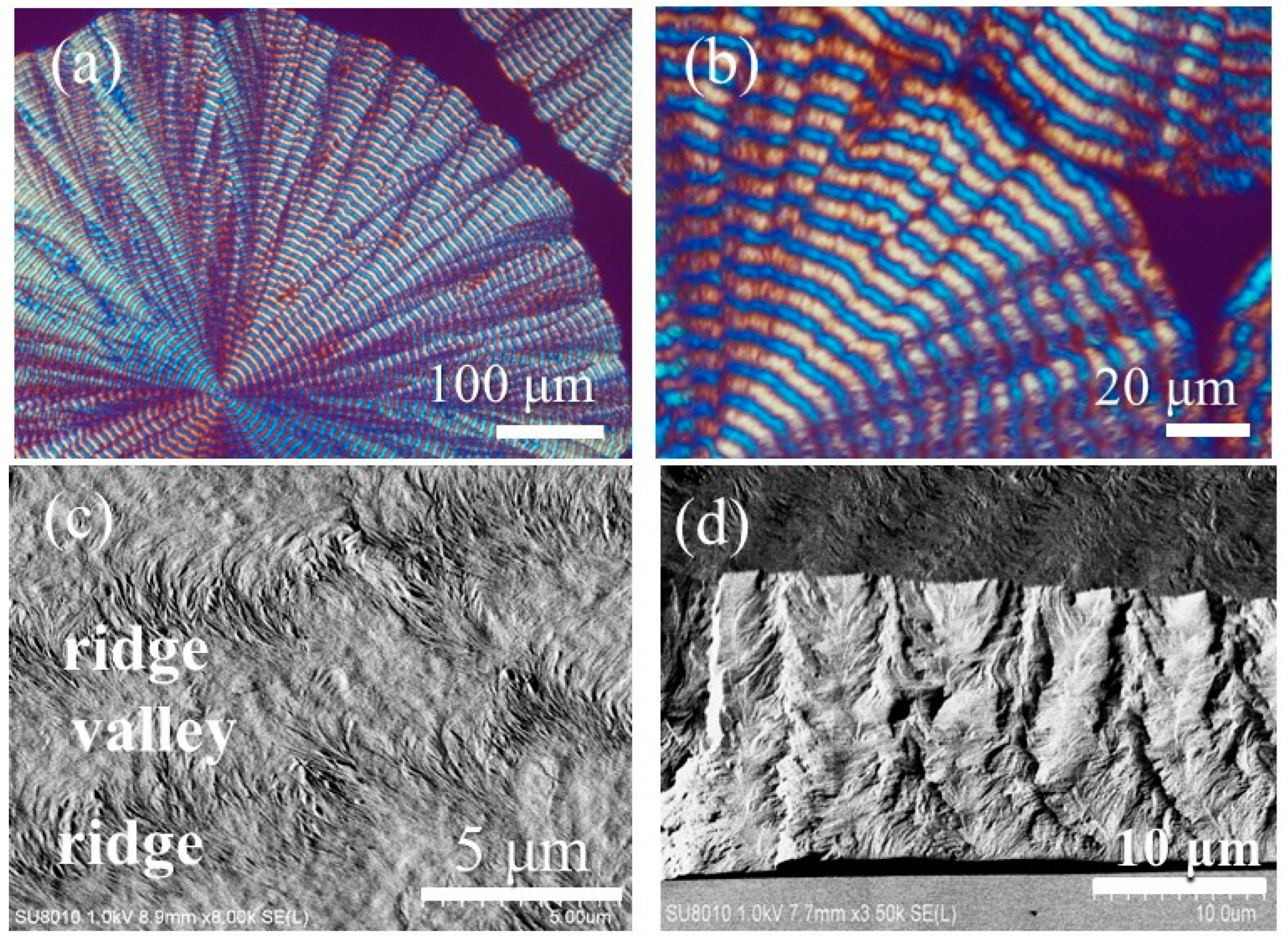 Polymers 16 02736 g002