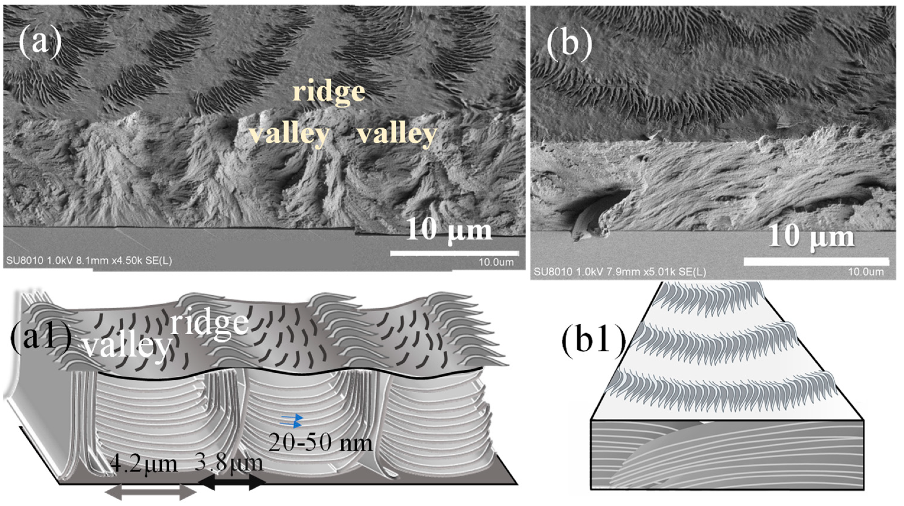 Polymers 16 02736 g008