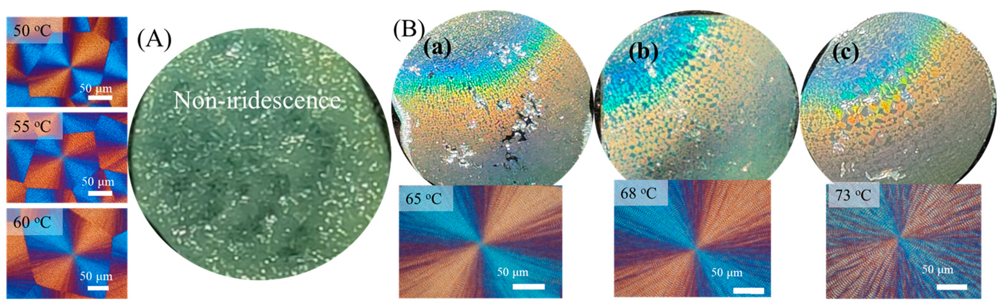 Polymers 16 02736 g011