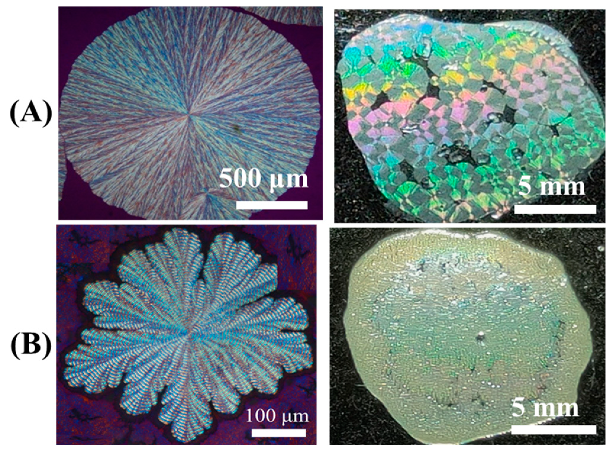 Polymers 16 02736 g013