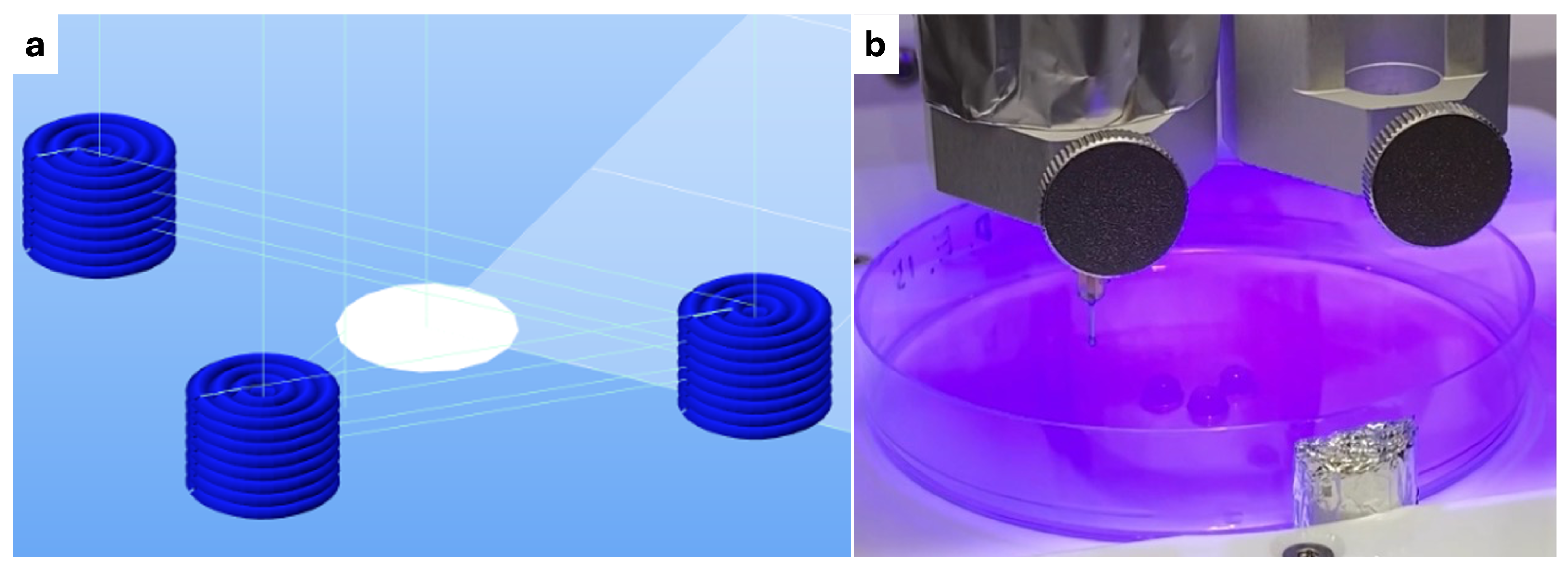 Polymers 16 02741 g001 Polymers 16 02741 g001