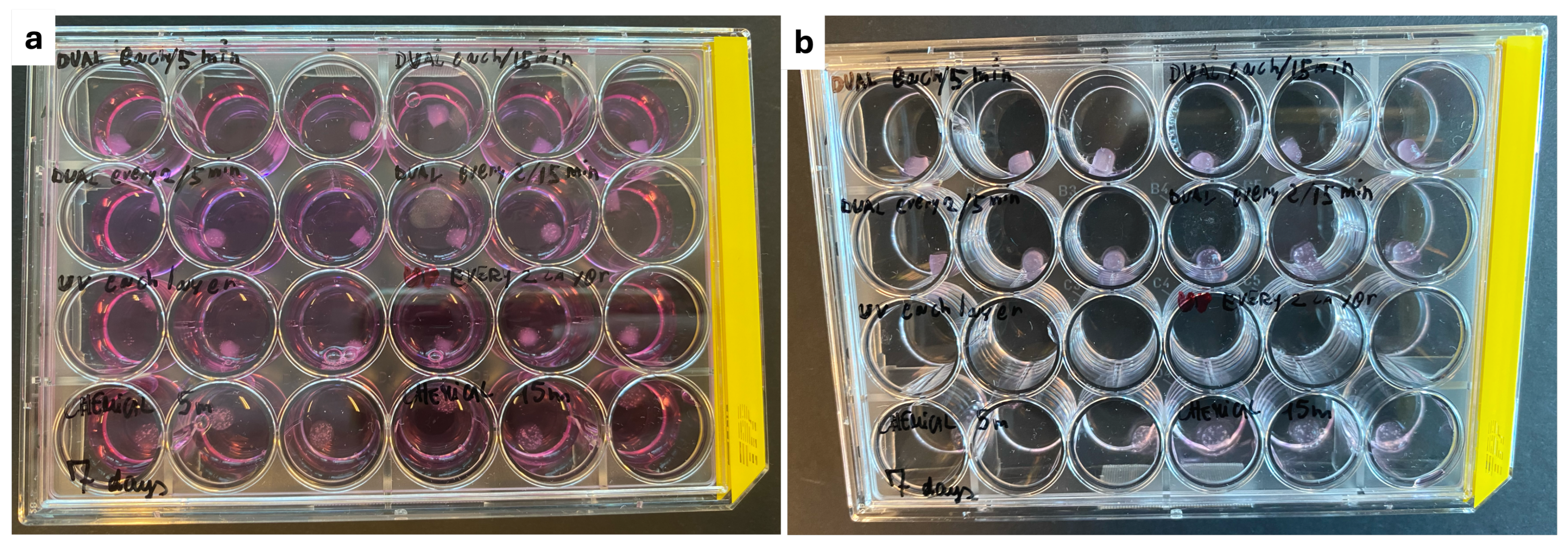 Polymers 16 02741 g002 Polymers 16 02741 g002