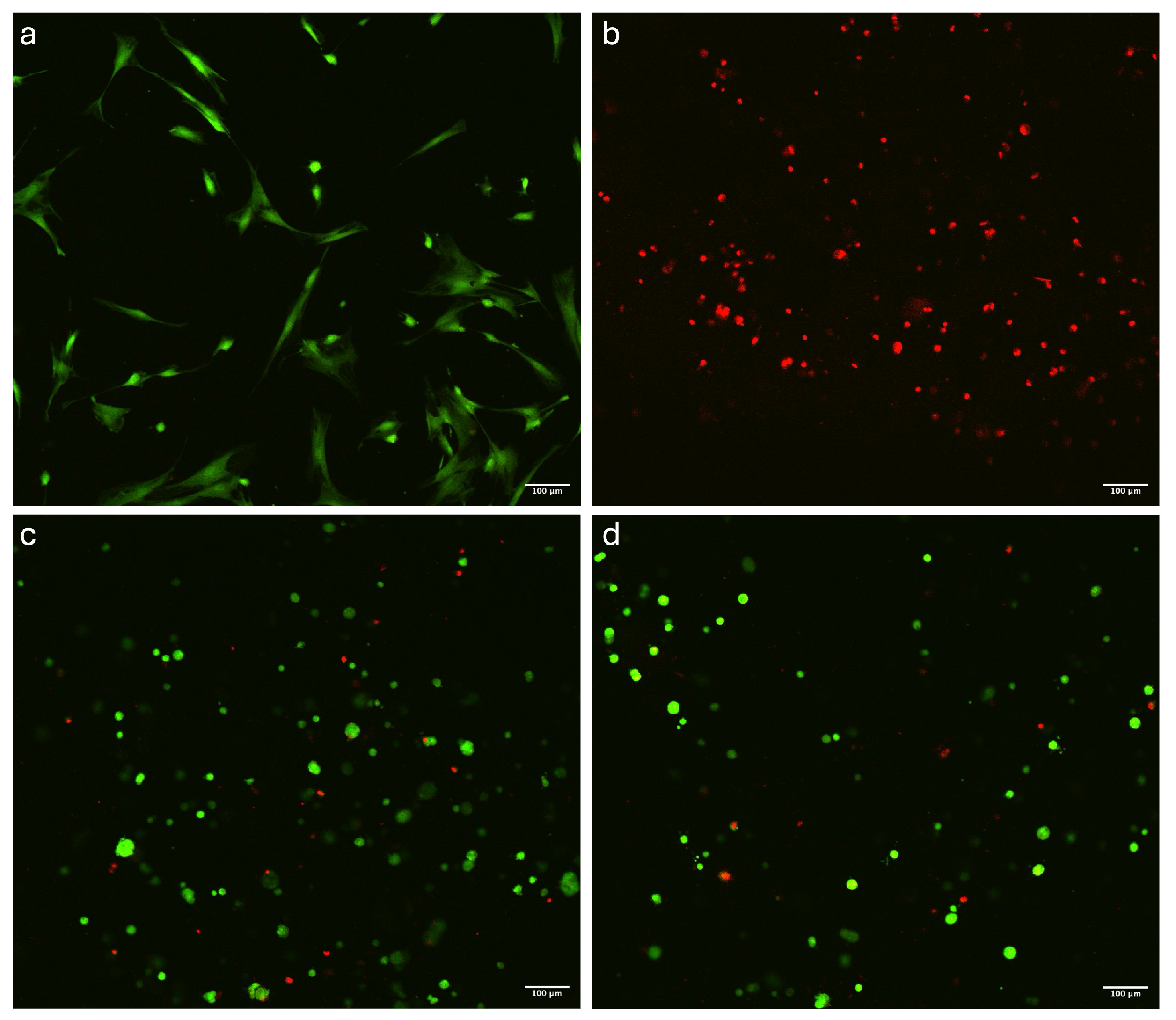 Polymers 16 02741 g005a Polymers 16 02741 g005a