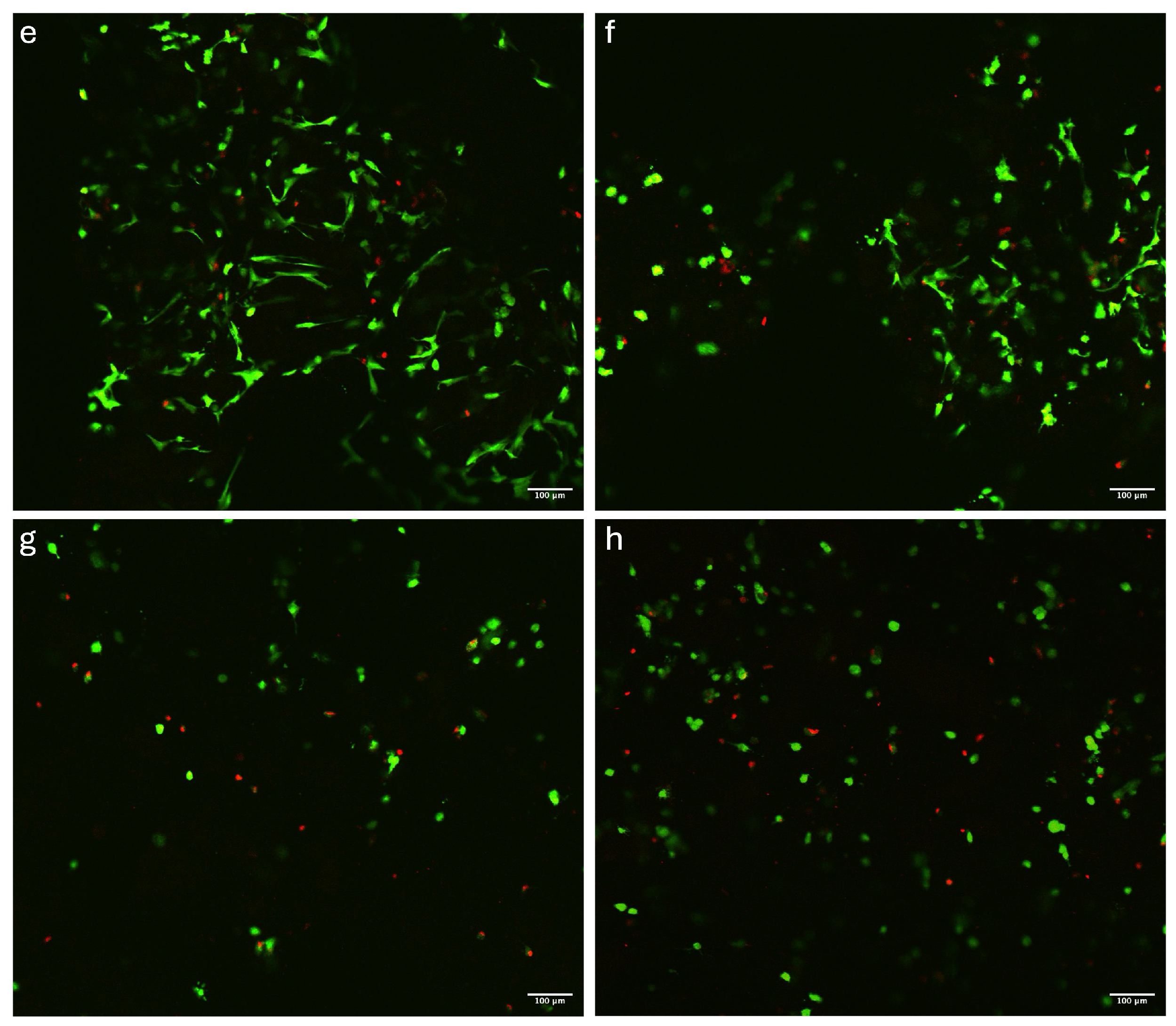 Polymers 16 02741 g005b Polymers 16 02741 g005b