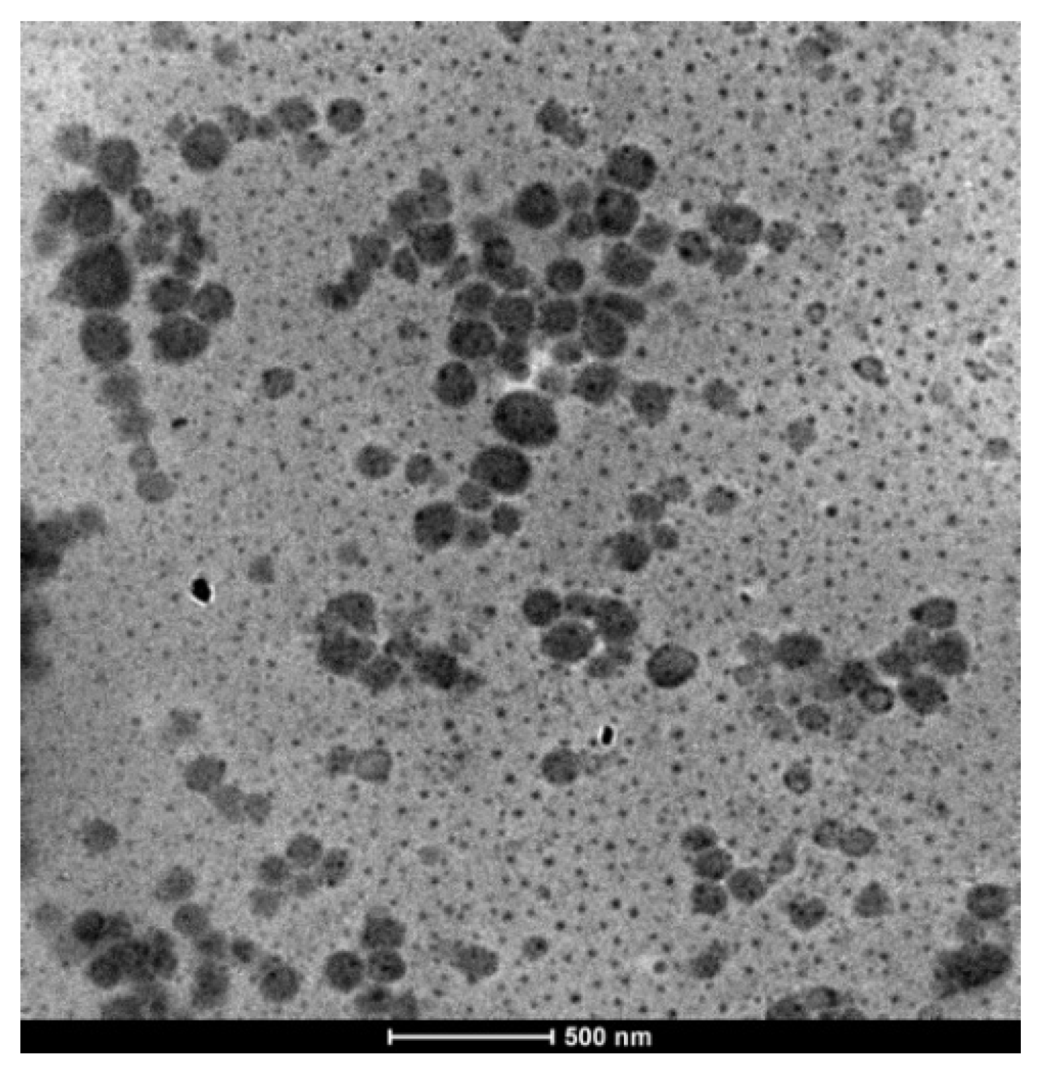 Polymers 16 02748 g005