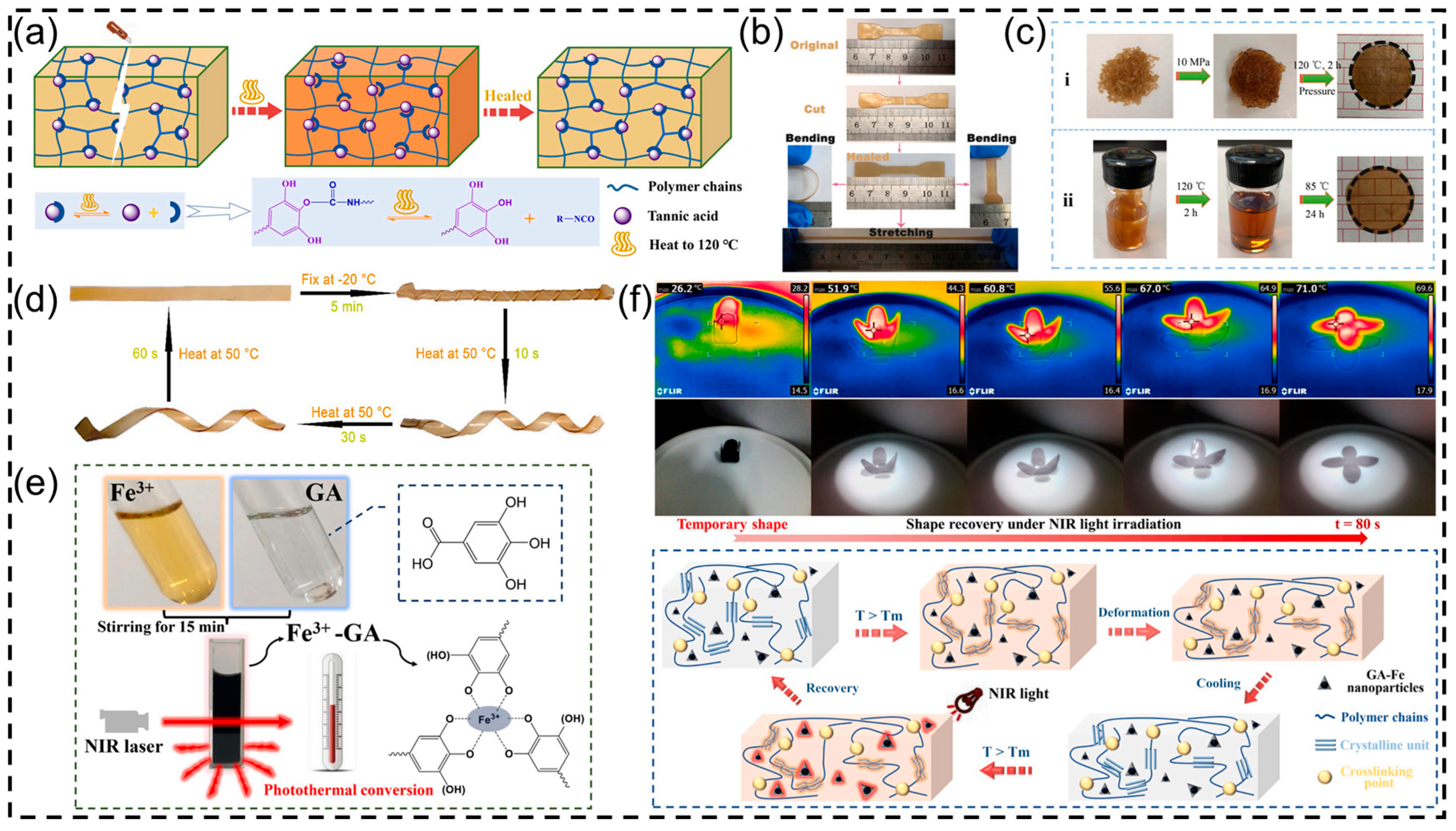 Polymers 16 02752 g004