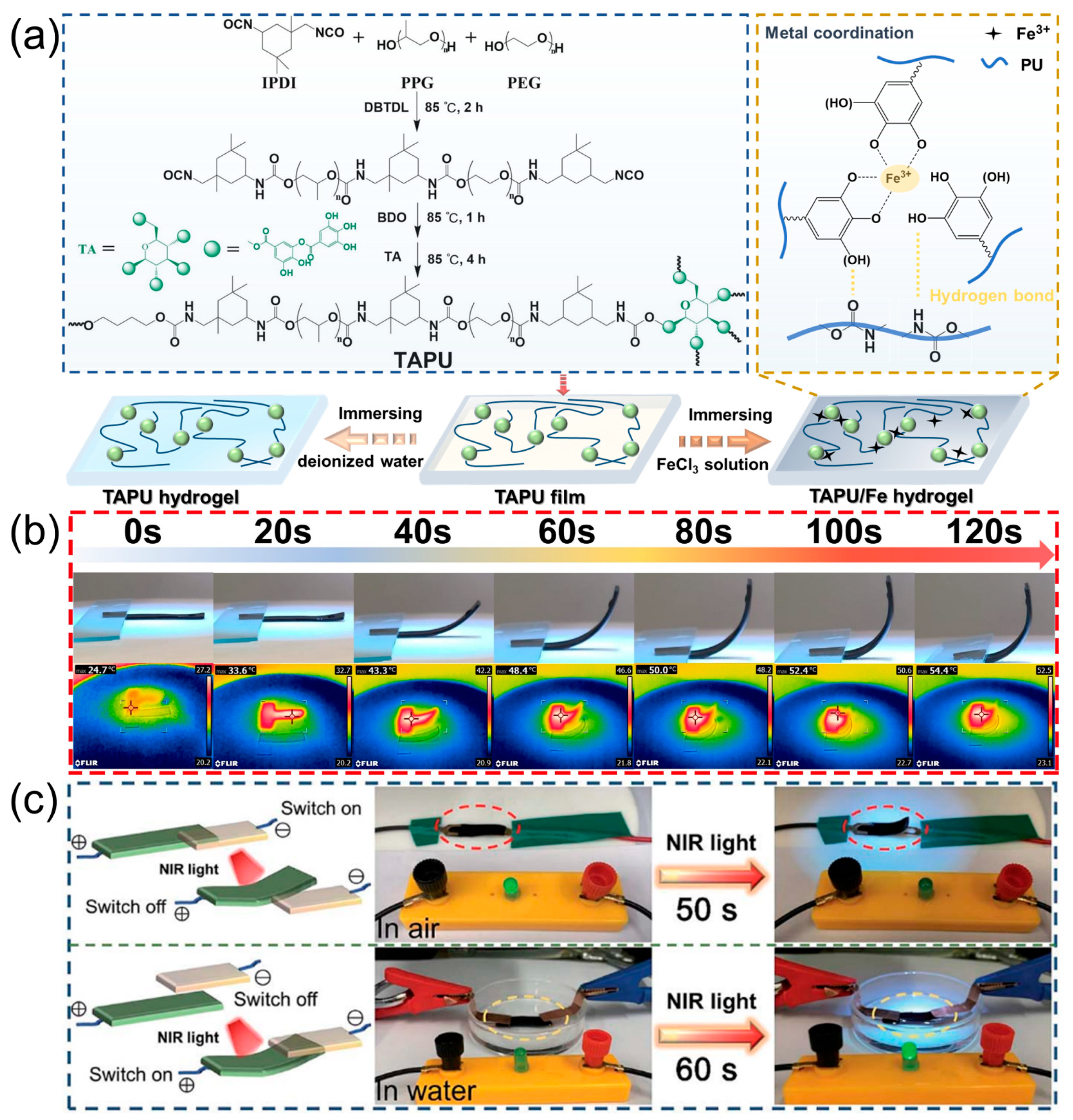 Polymers 16 02752 g005