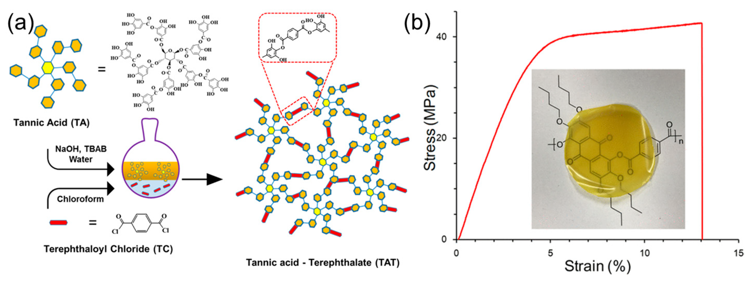 Polymers 16 02752 g008