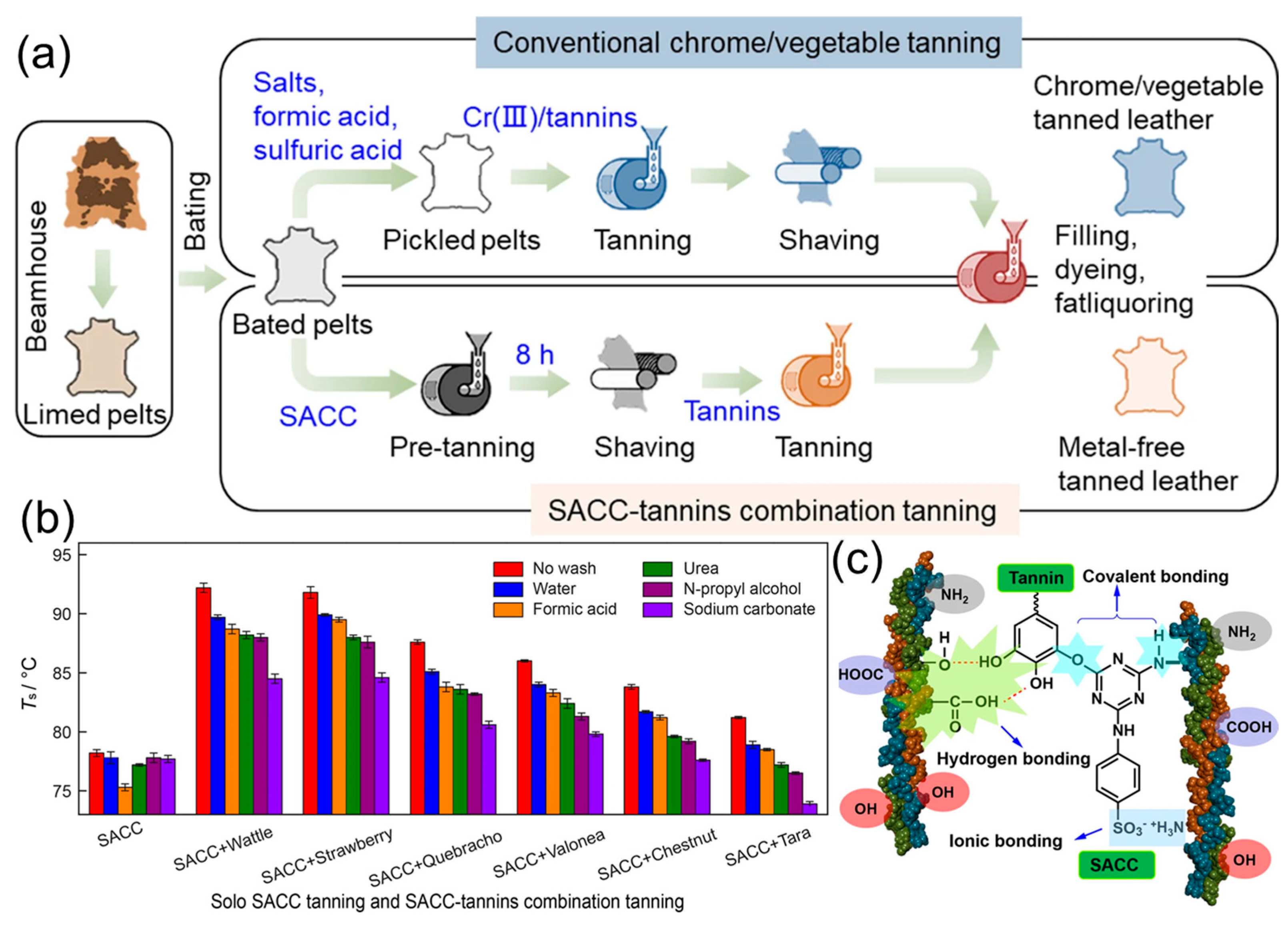 Polymers 16 02752 g010