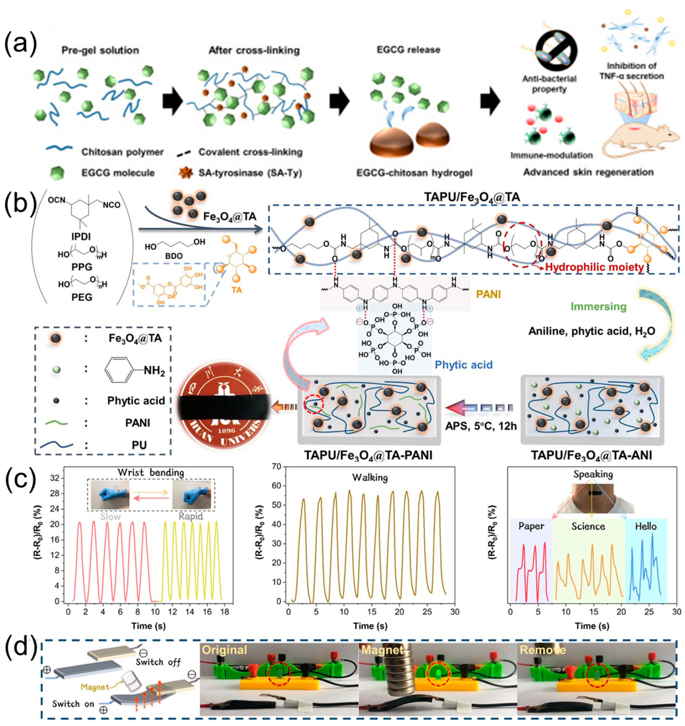 Polymers 16 02752 g011