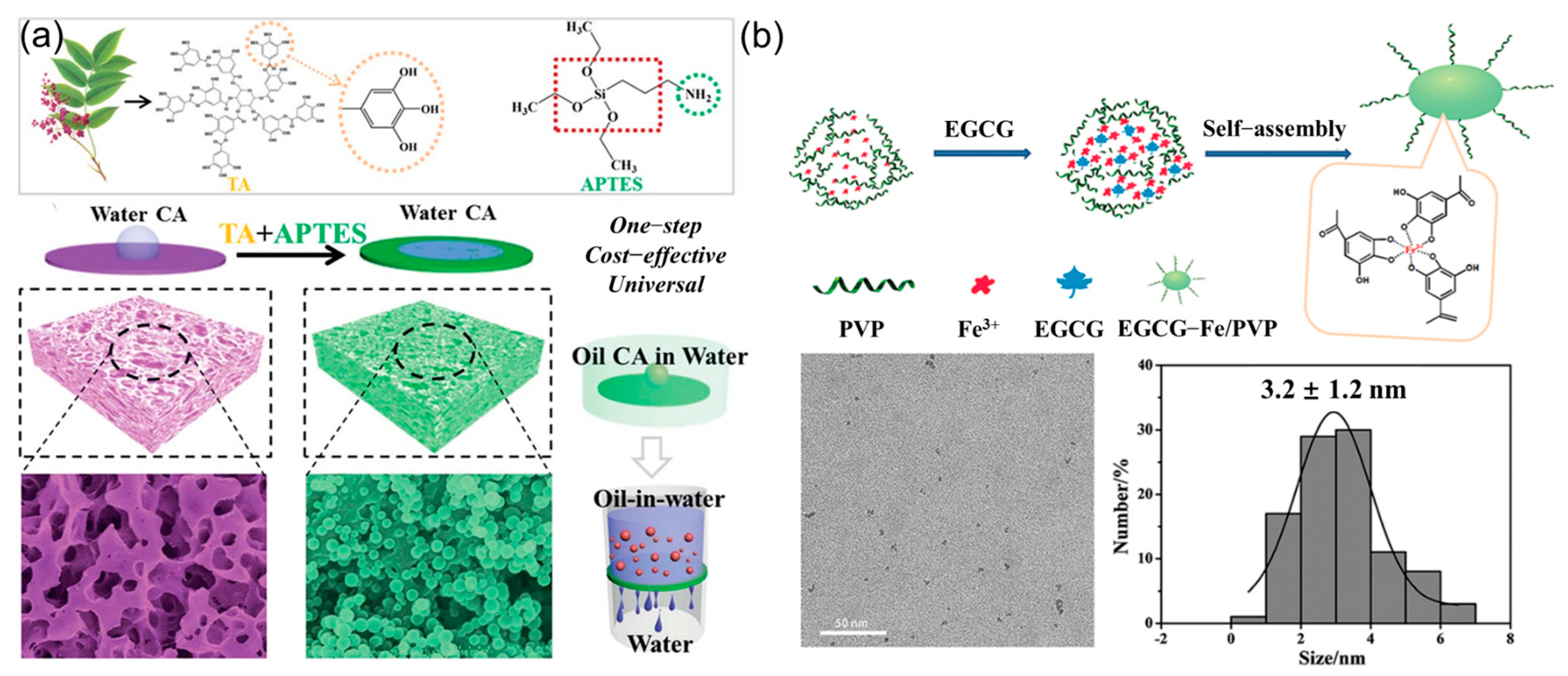 Polymers 16 02752 g012