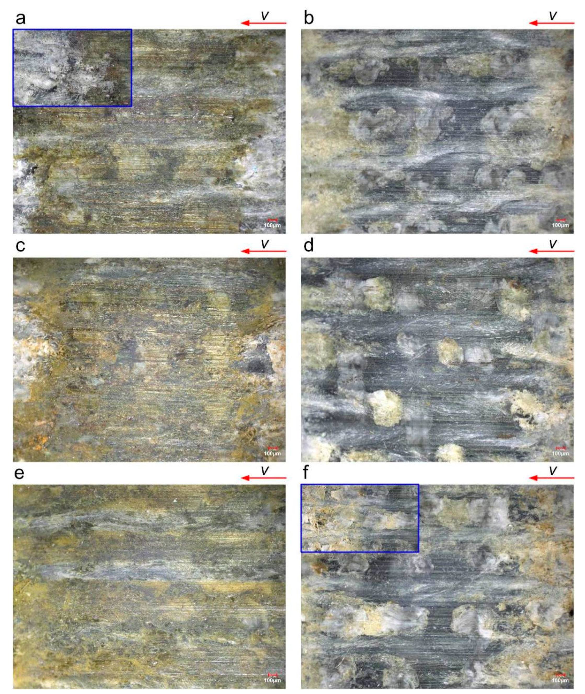 Polymers 16 02753 g009