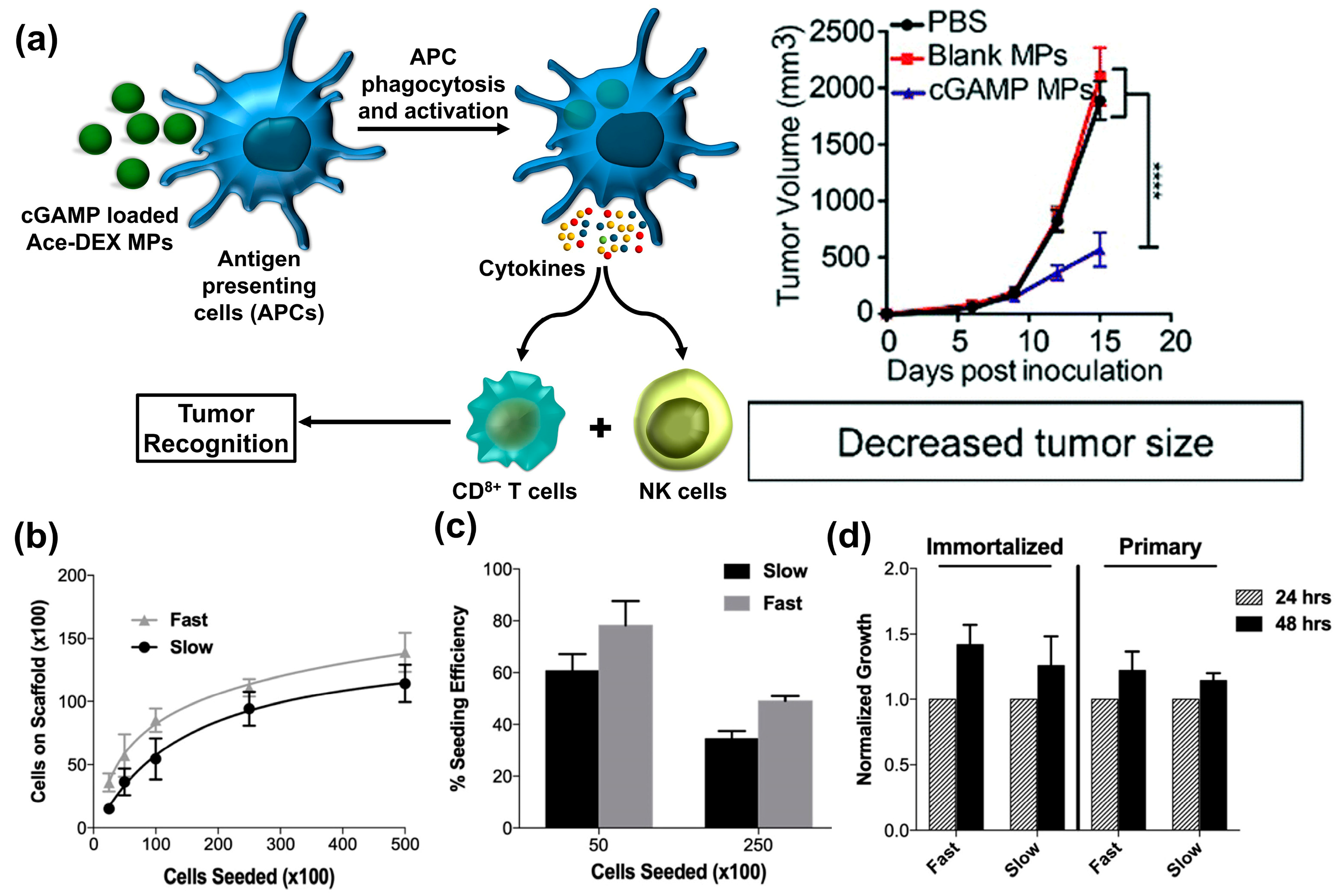 Polymers 16 02756 g008