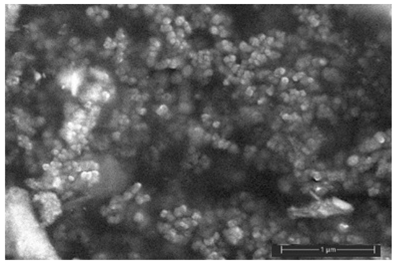 Polymers 16 02758 g001