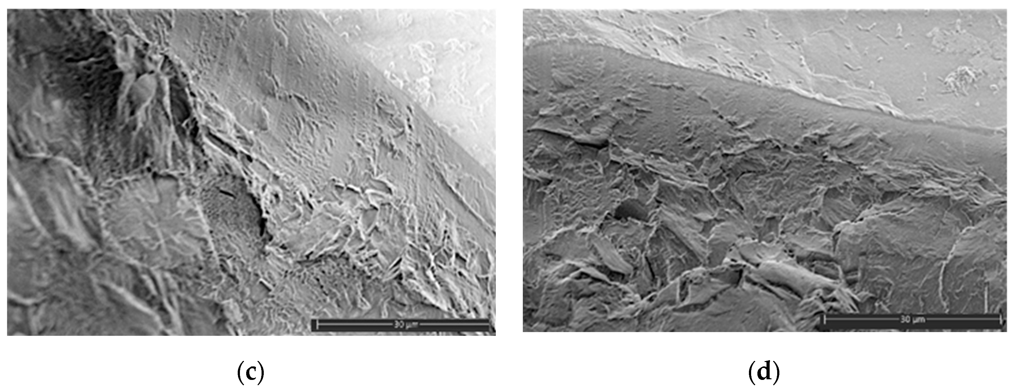 Polymers 16 02758 g004b