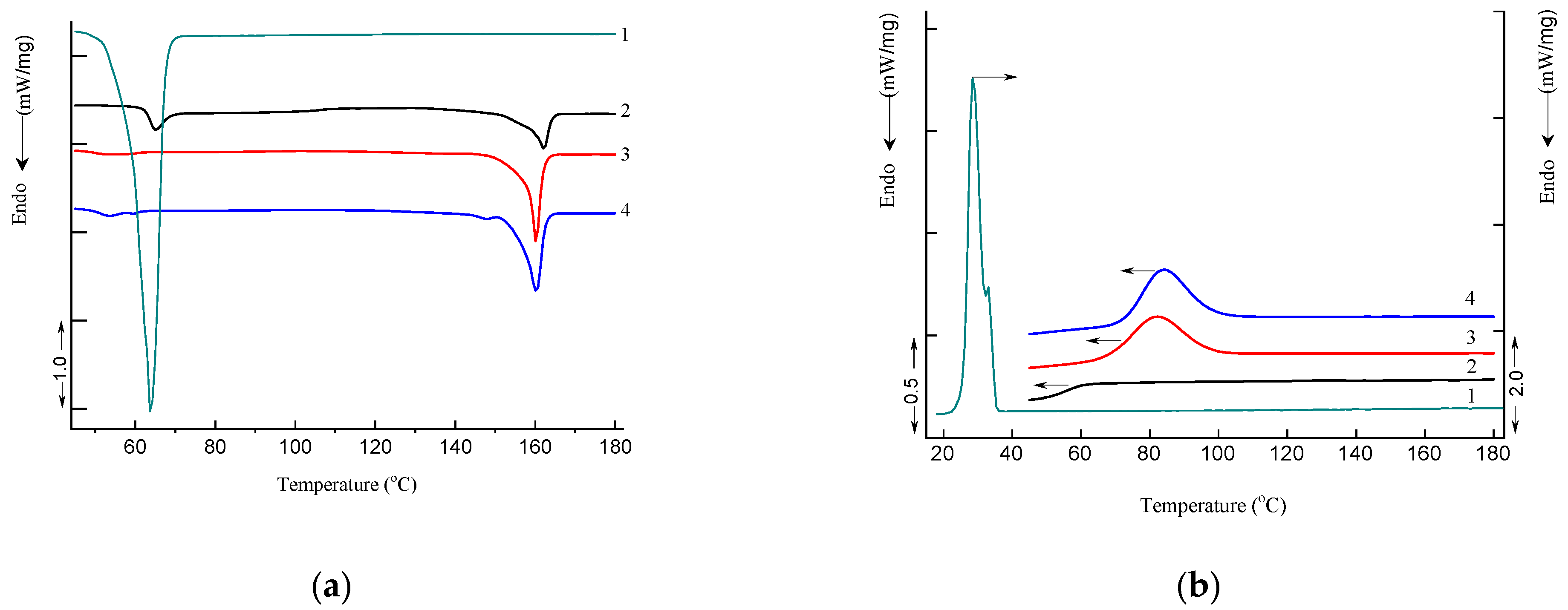 Polymers 16 02758 g009