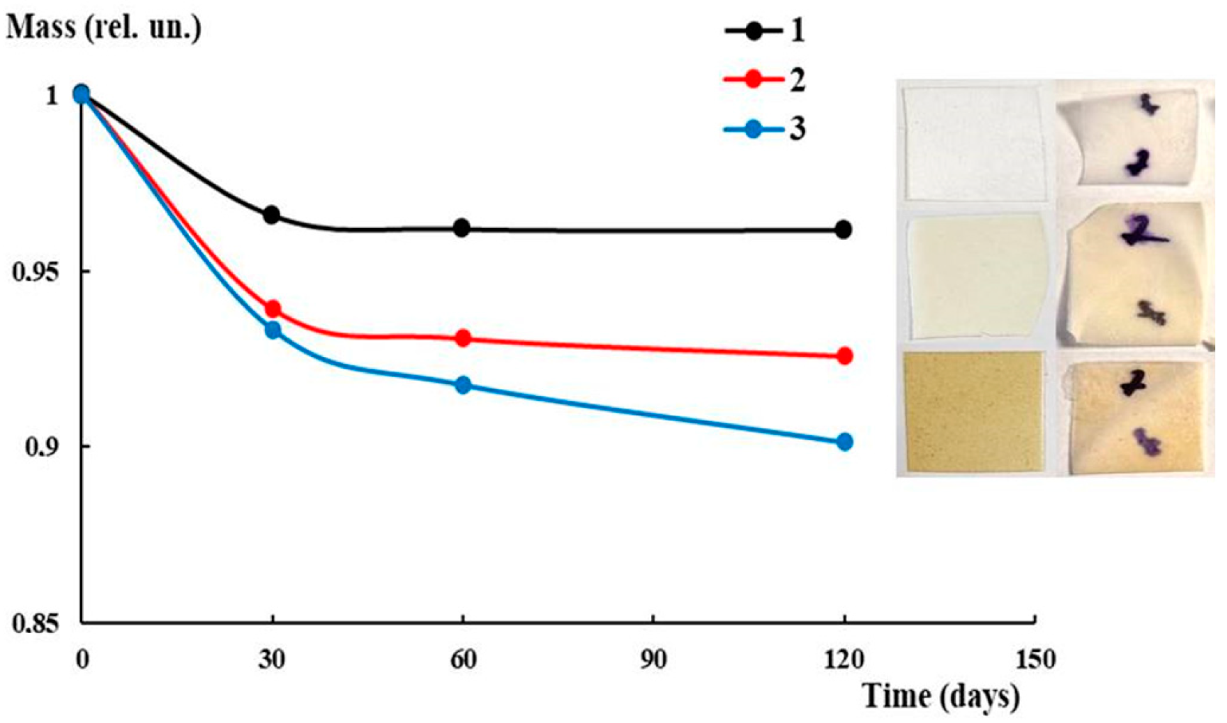 Polymers 16 02758 g011