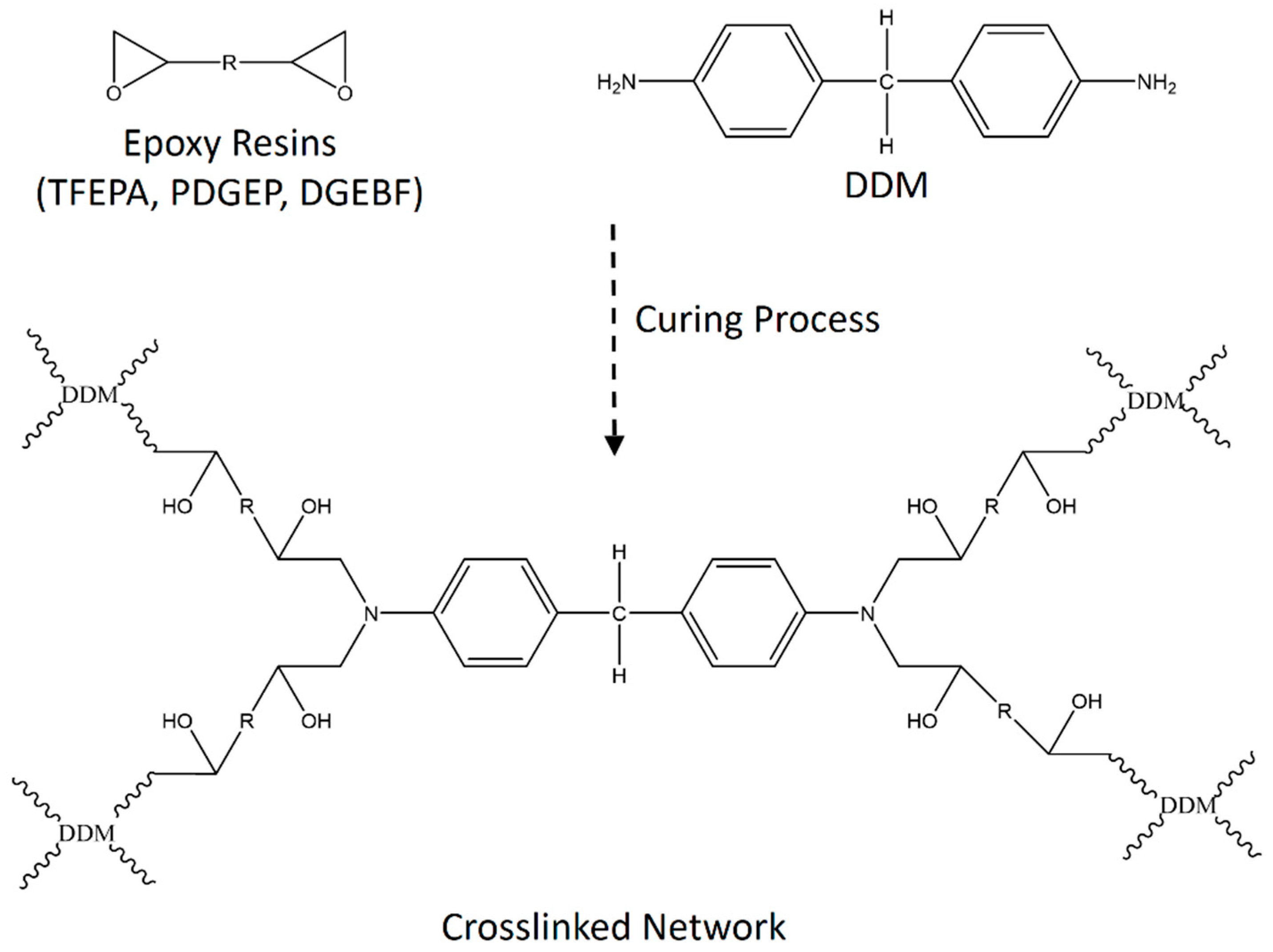 Polymers 16 02759 sch003
