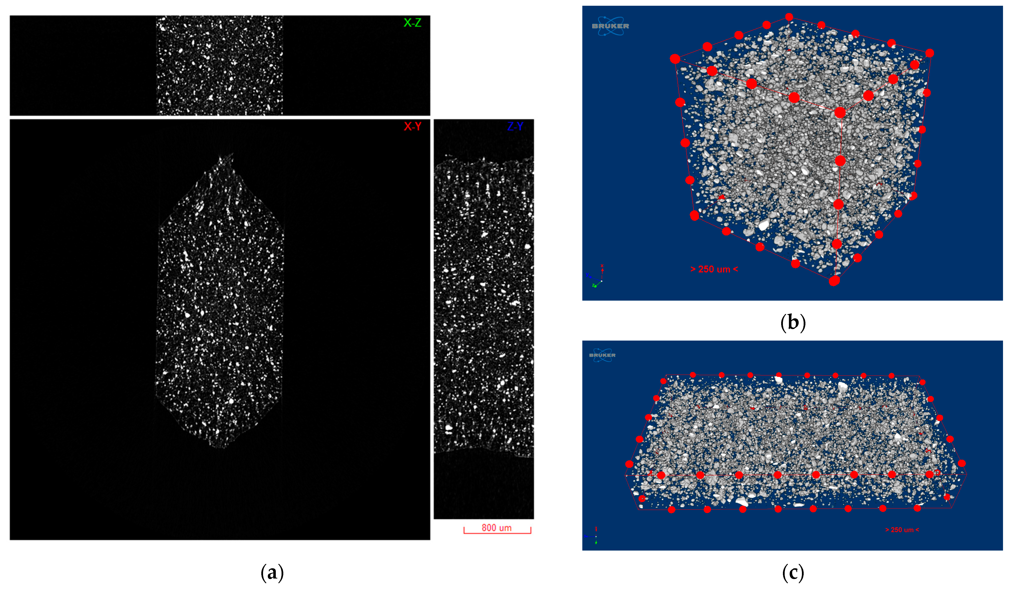 Polymers 16 02760 g004