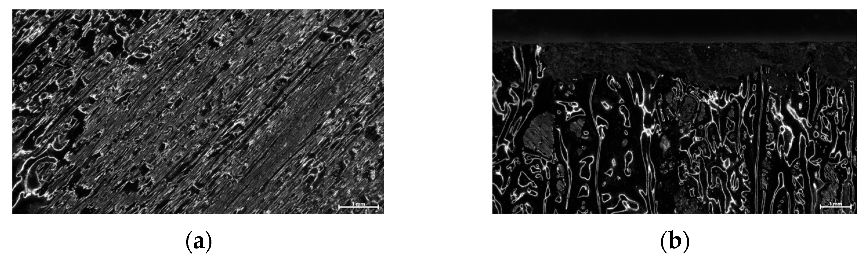 Polymers 16 02760 g017