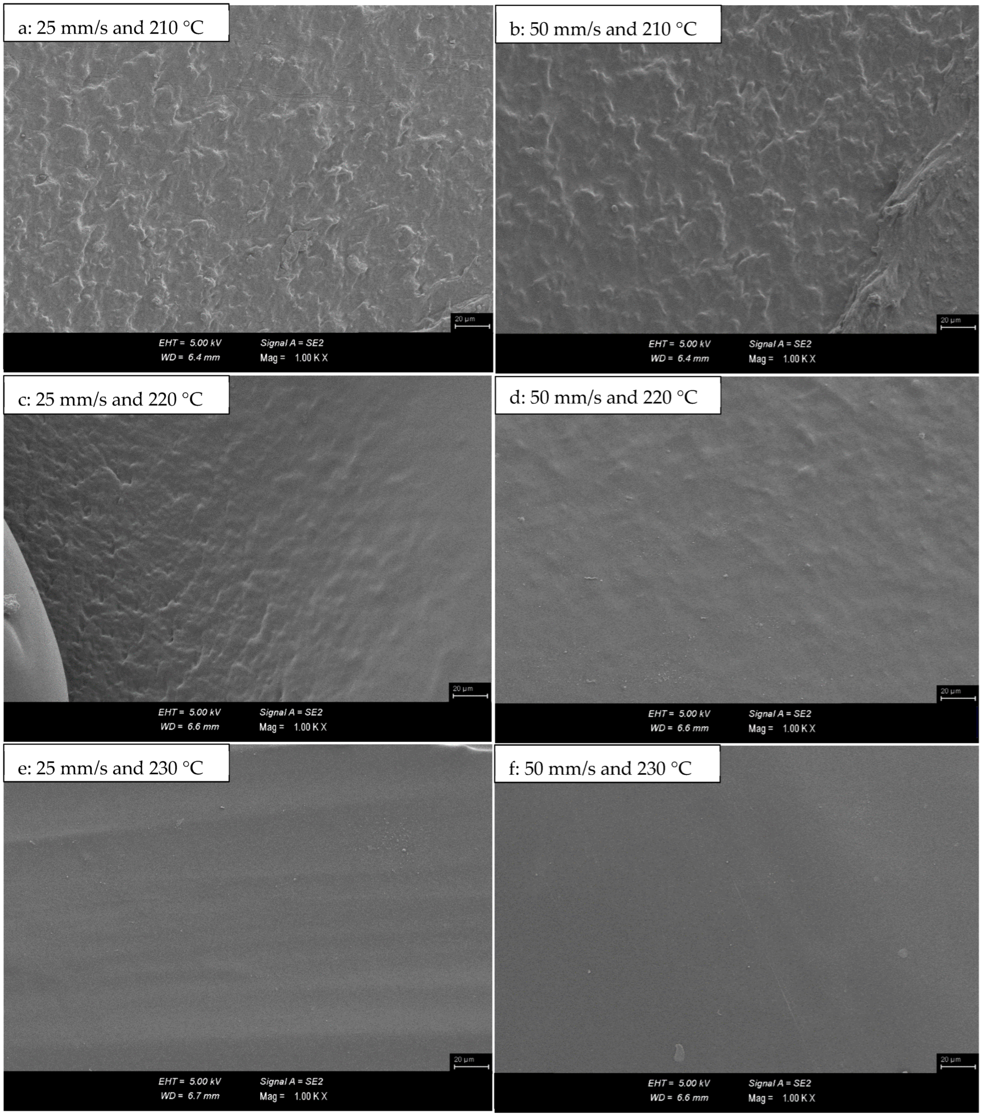 Polymers 16 02771 g008