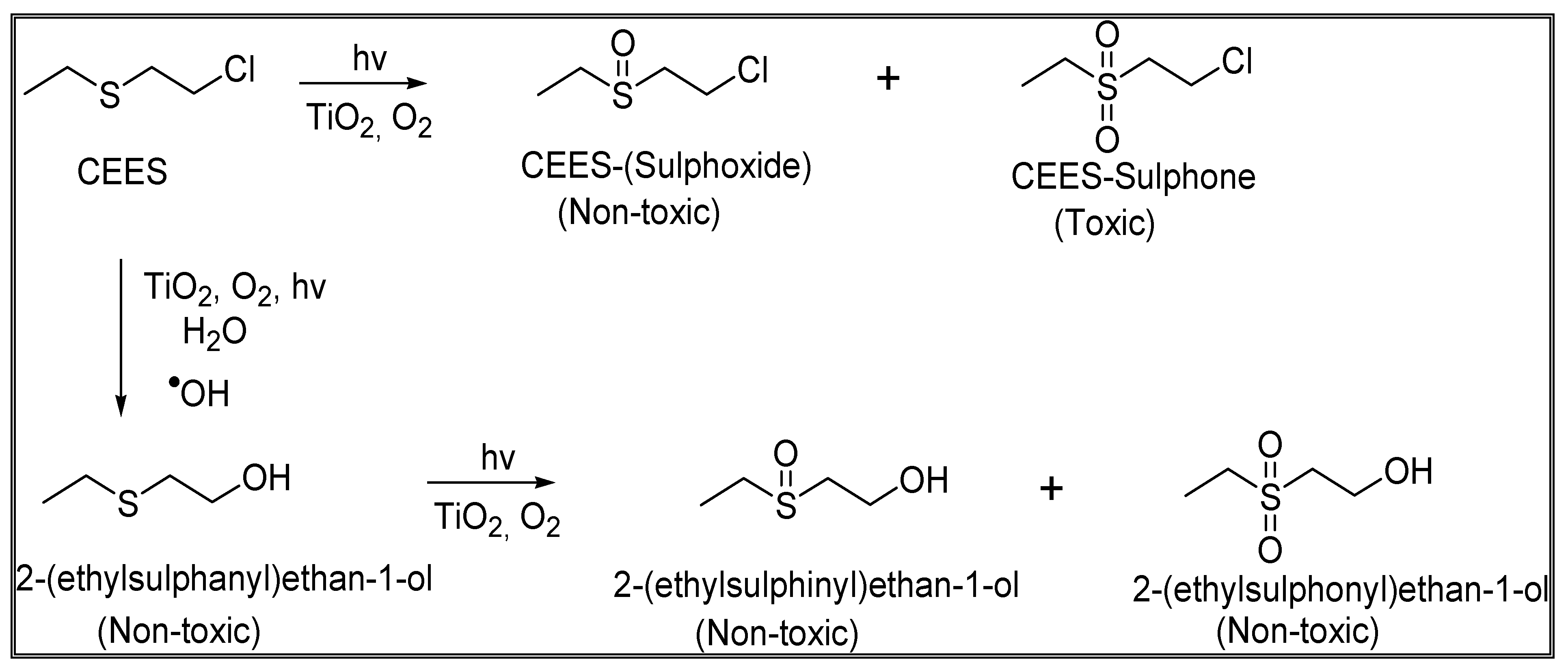 Polymers 16 02788 sch001