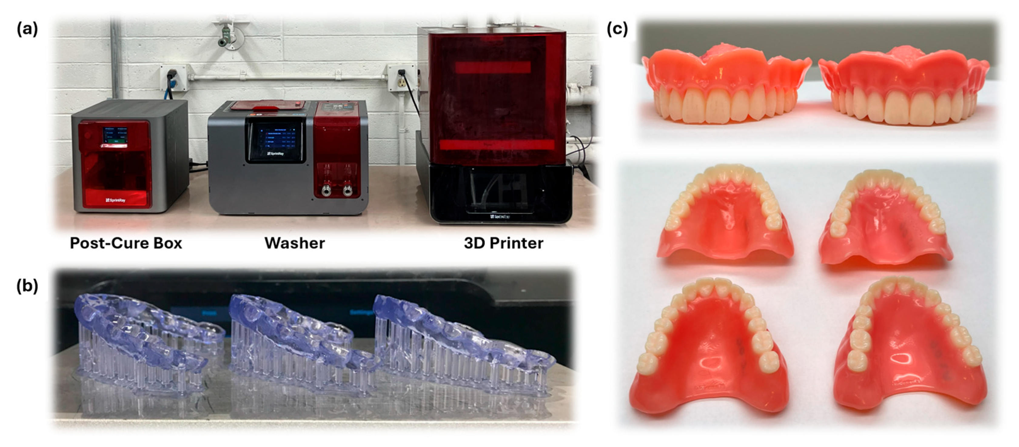 Polymers 16 02795 g002