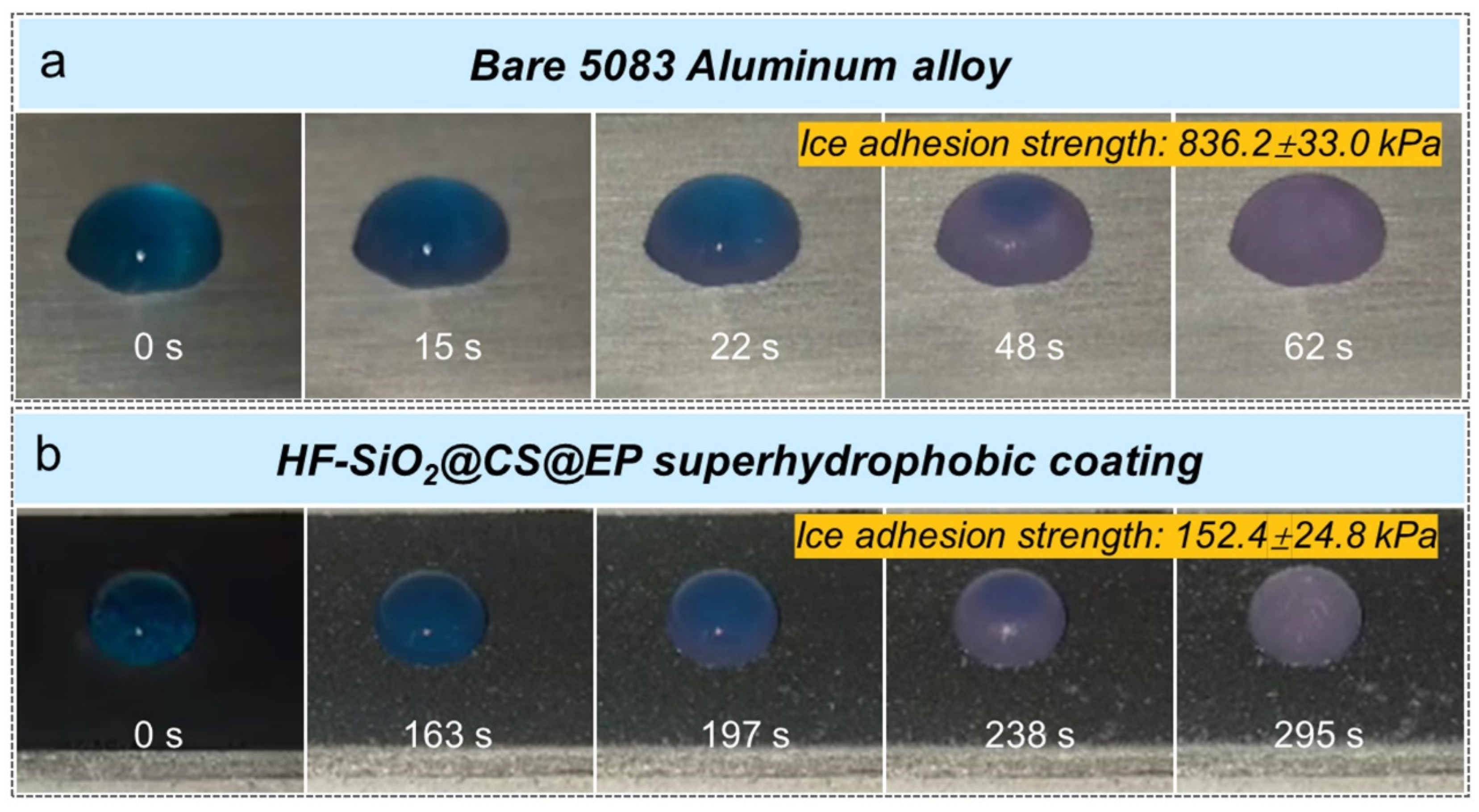 Polymers 16 02800 g008