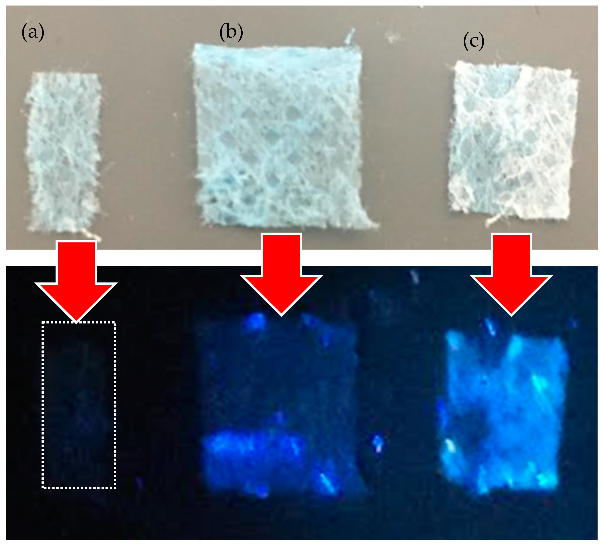 Polymers 16 02801 g005