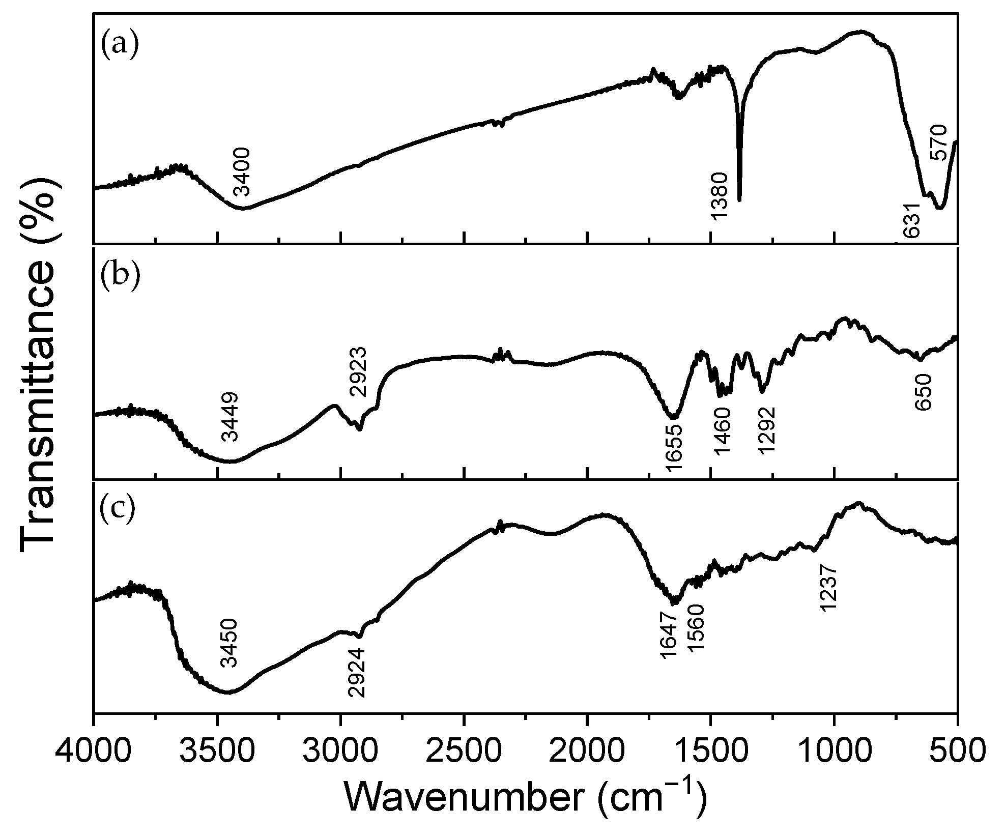 Polymers 16 02805 g002