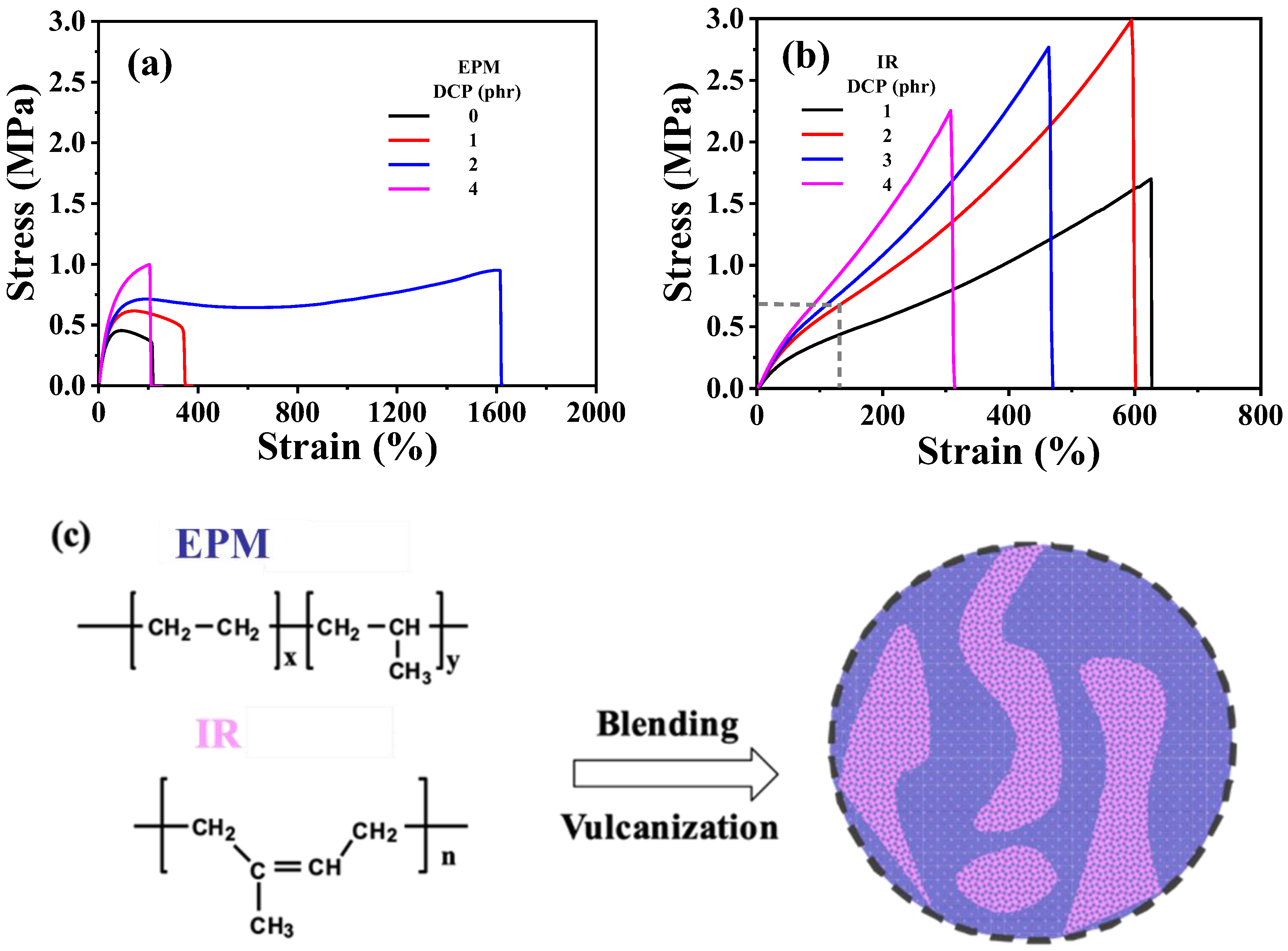 Polymers 16 02809 g001