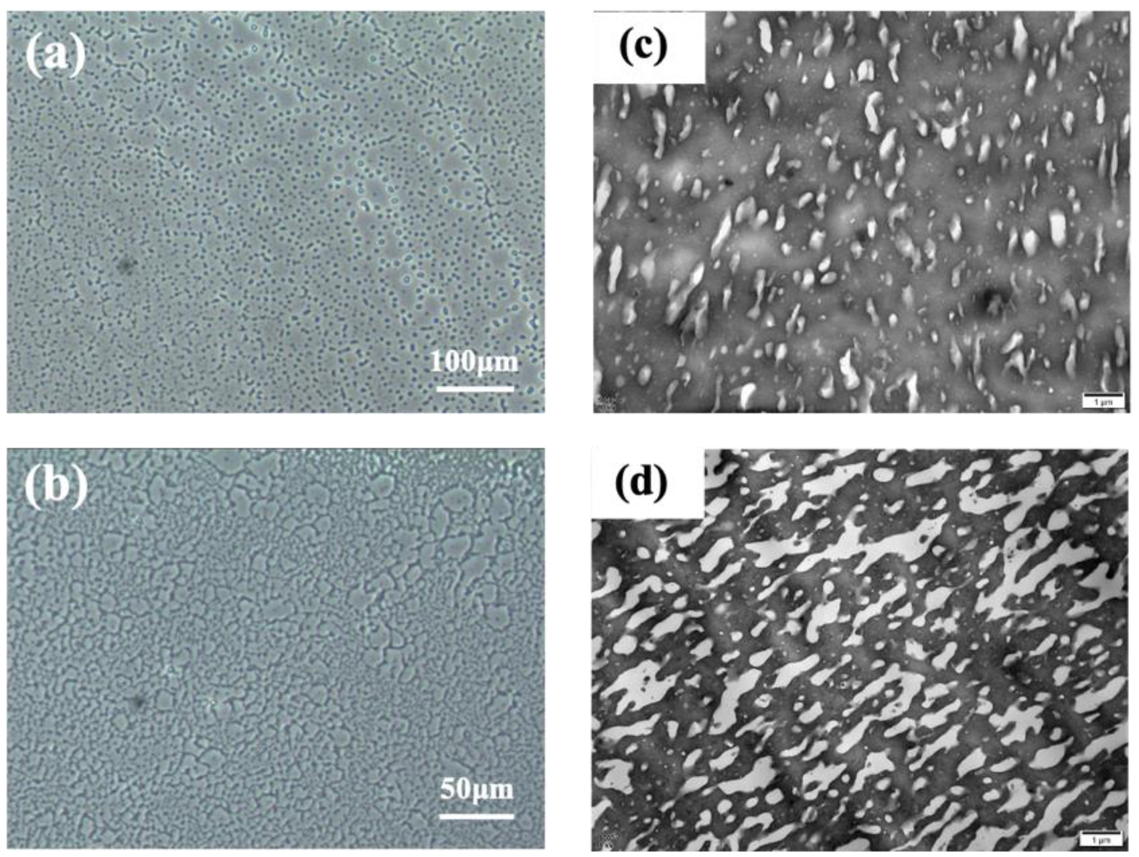 Polymers 16 02809 g007