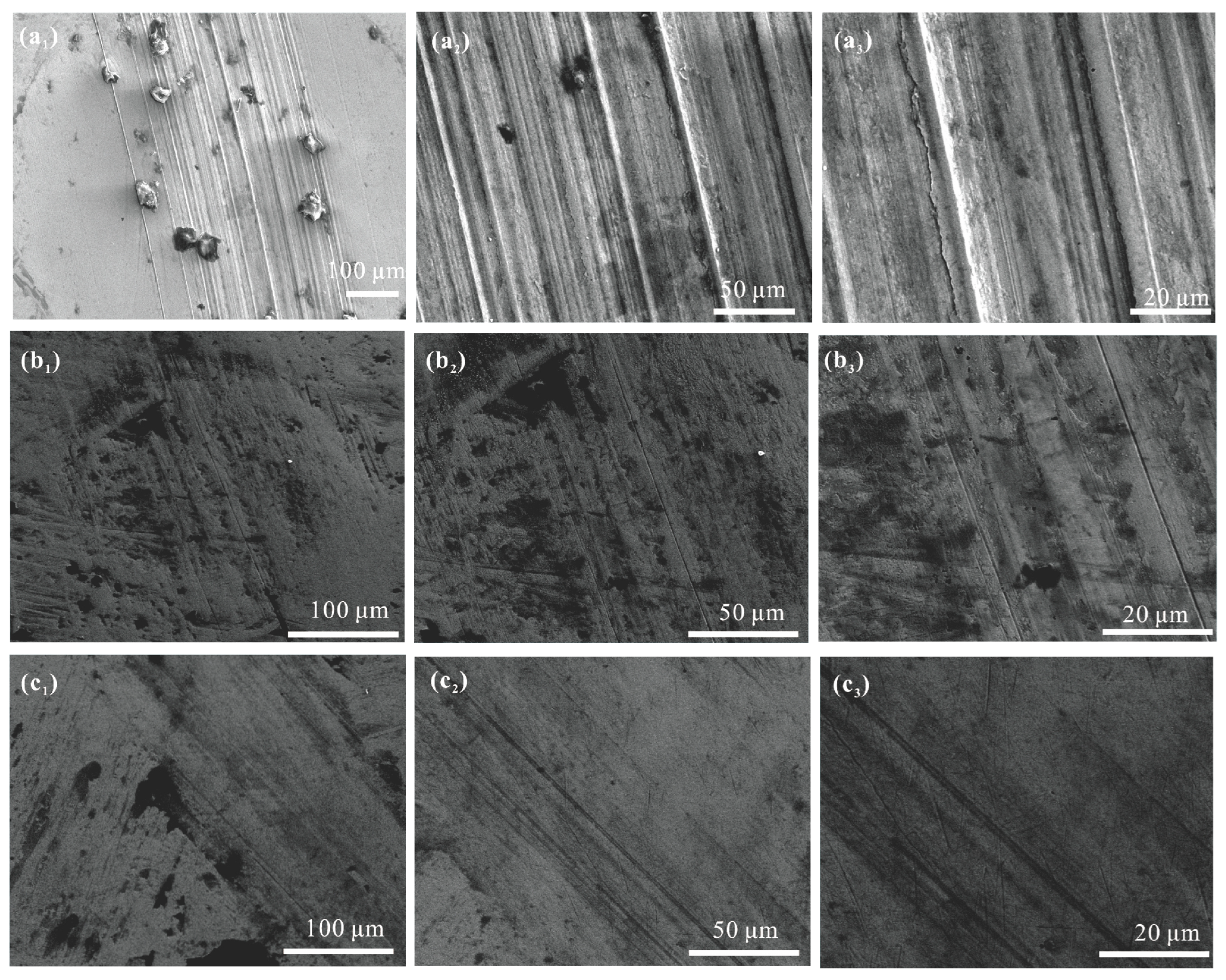 Polymers 16 02828 g011