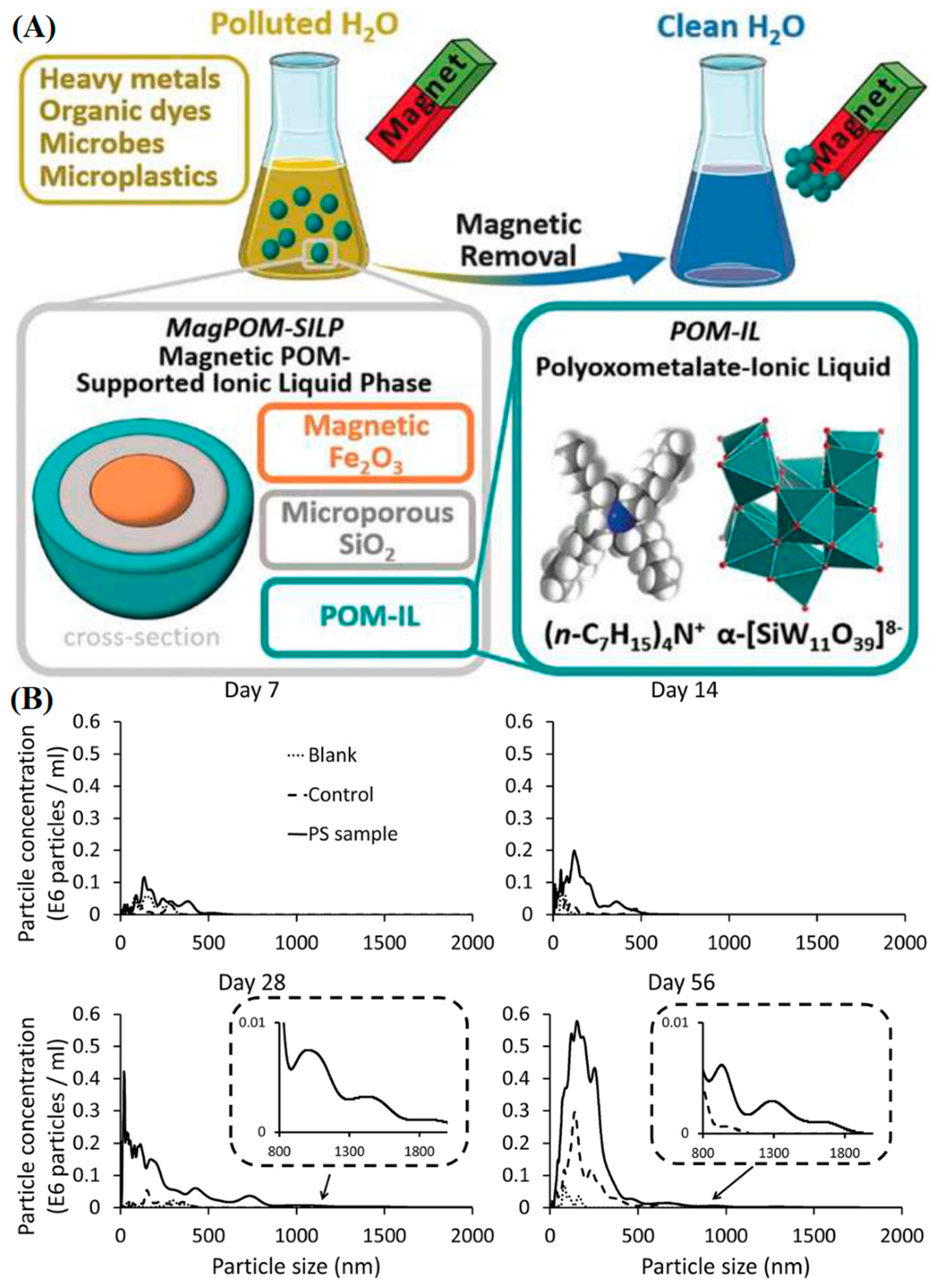 Polymers 16 02837 g008