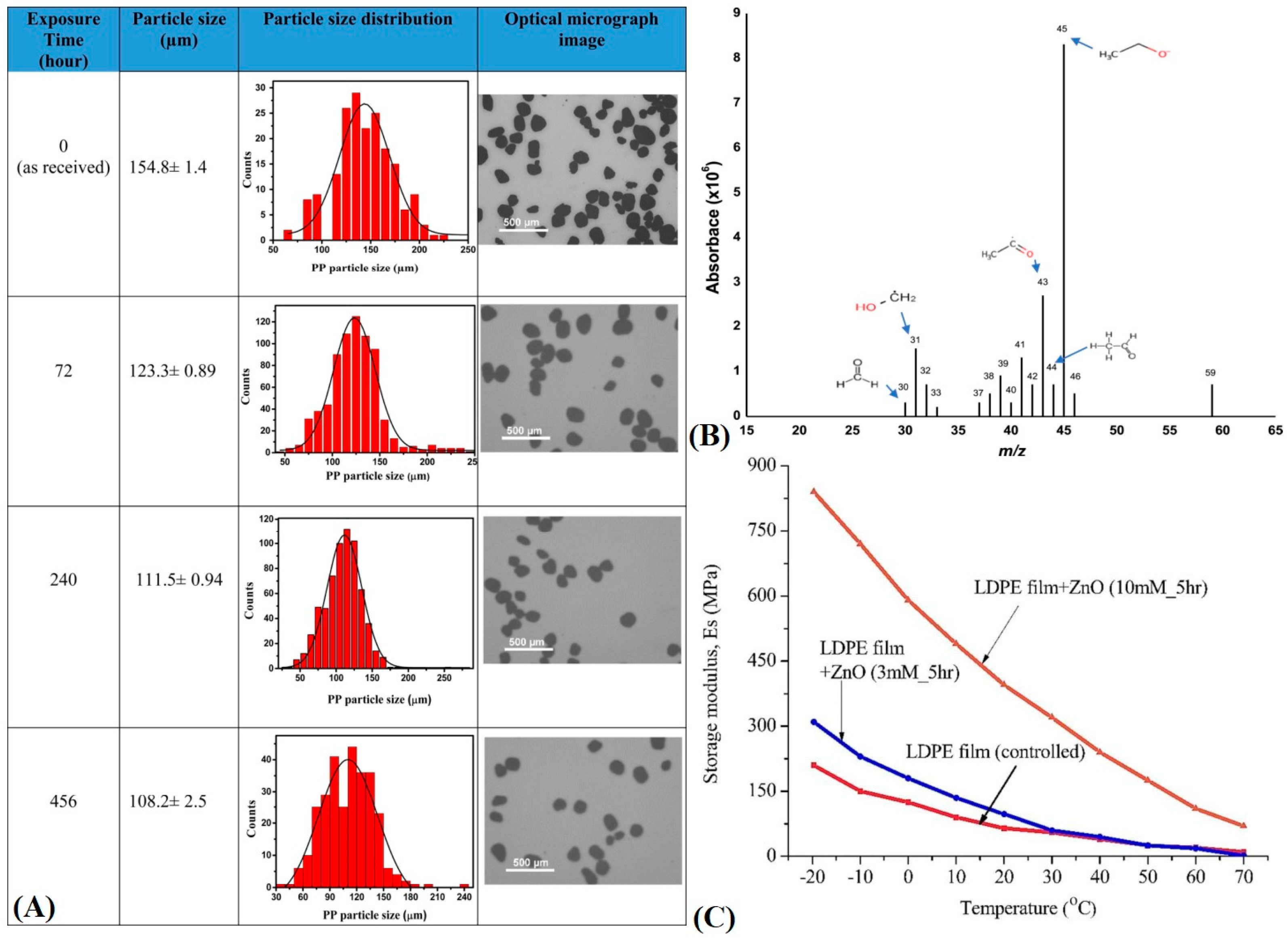 Polymers 16 02837 g011