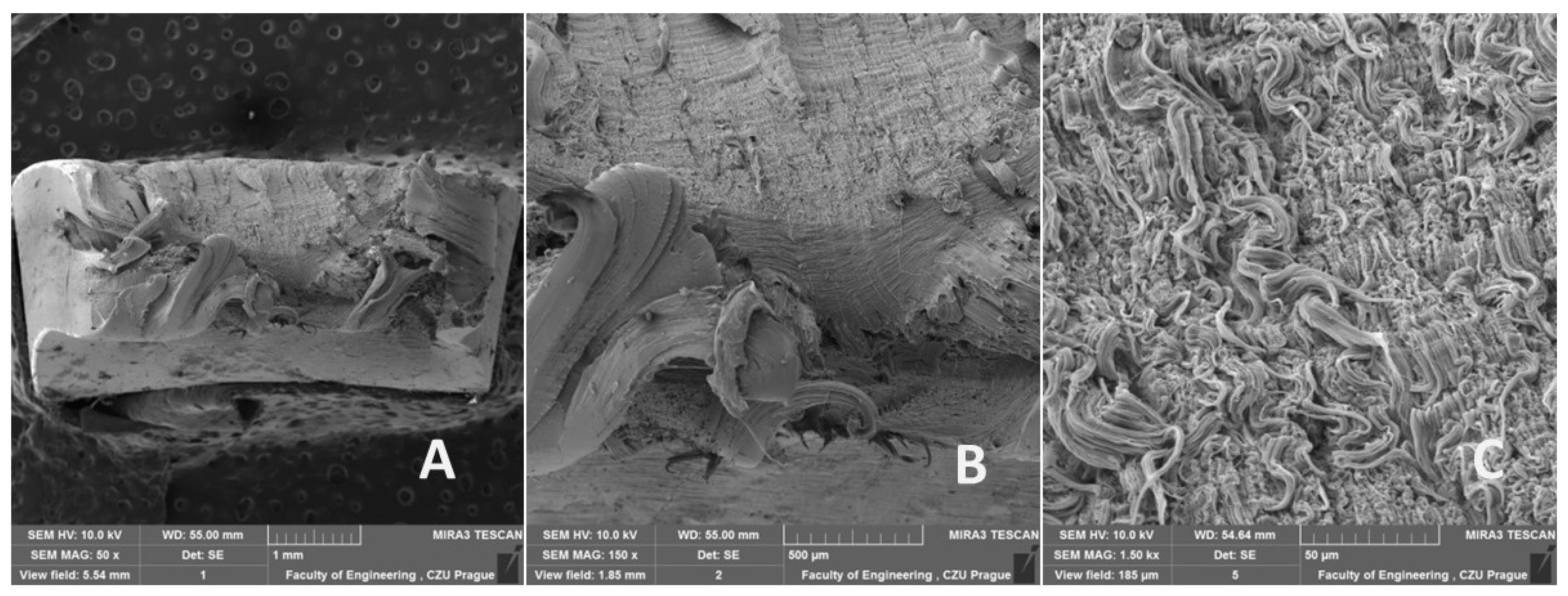Polymers 16 02863 g013