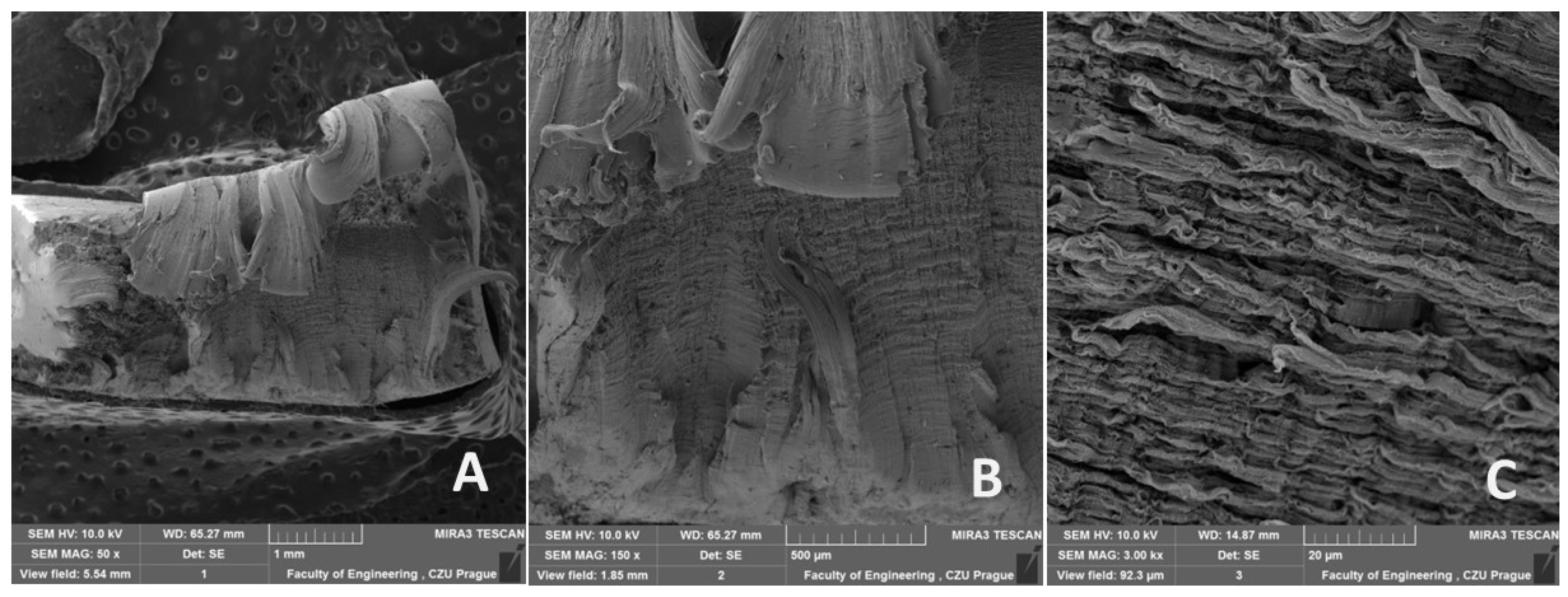 Polymers 16 02863 g014