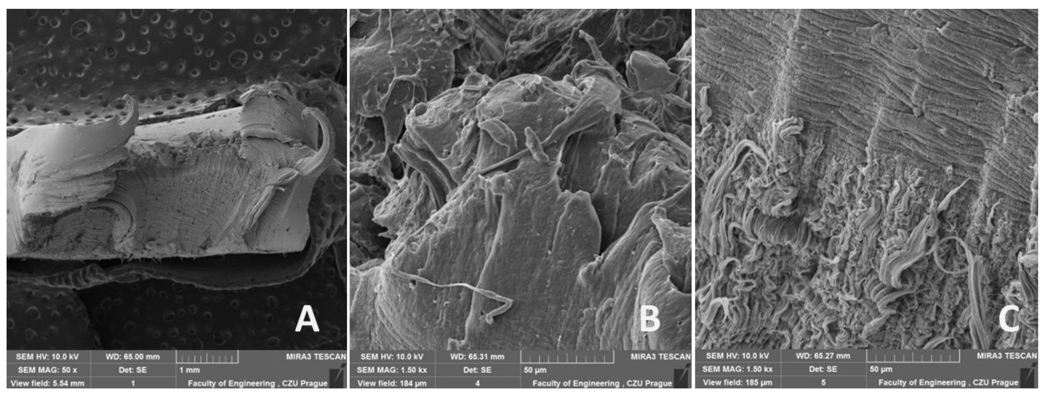 Polymers 16 02863 g015