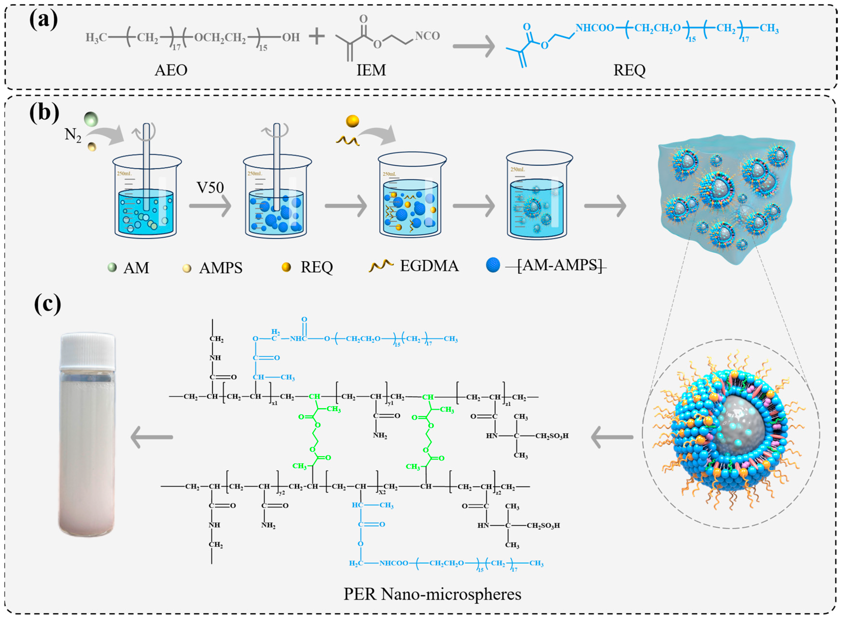 Polymers 16 02884 g001