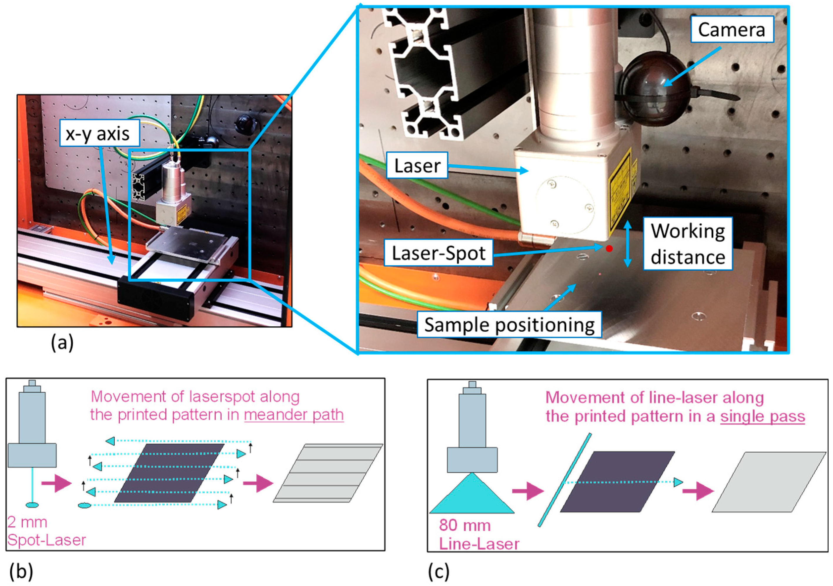 Polymers 16 02896 g001