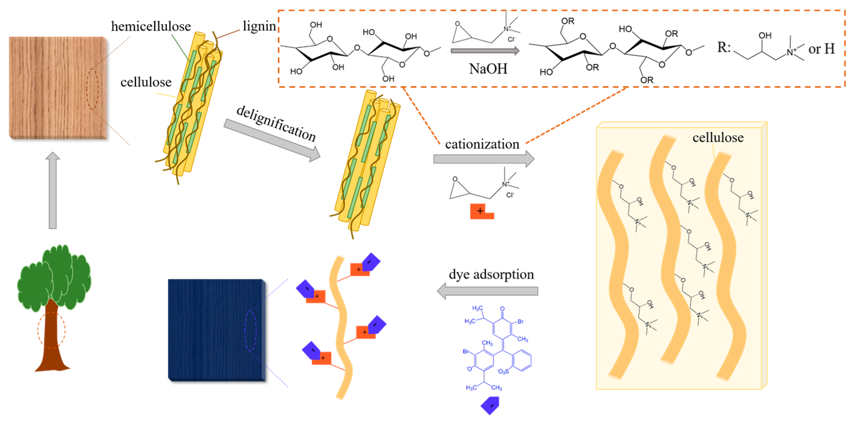Polymers 16 02900 g001