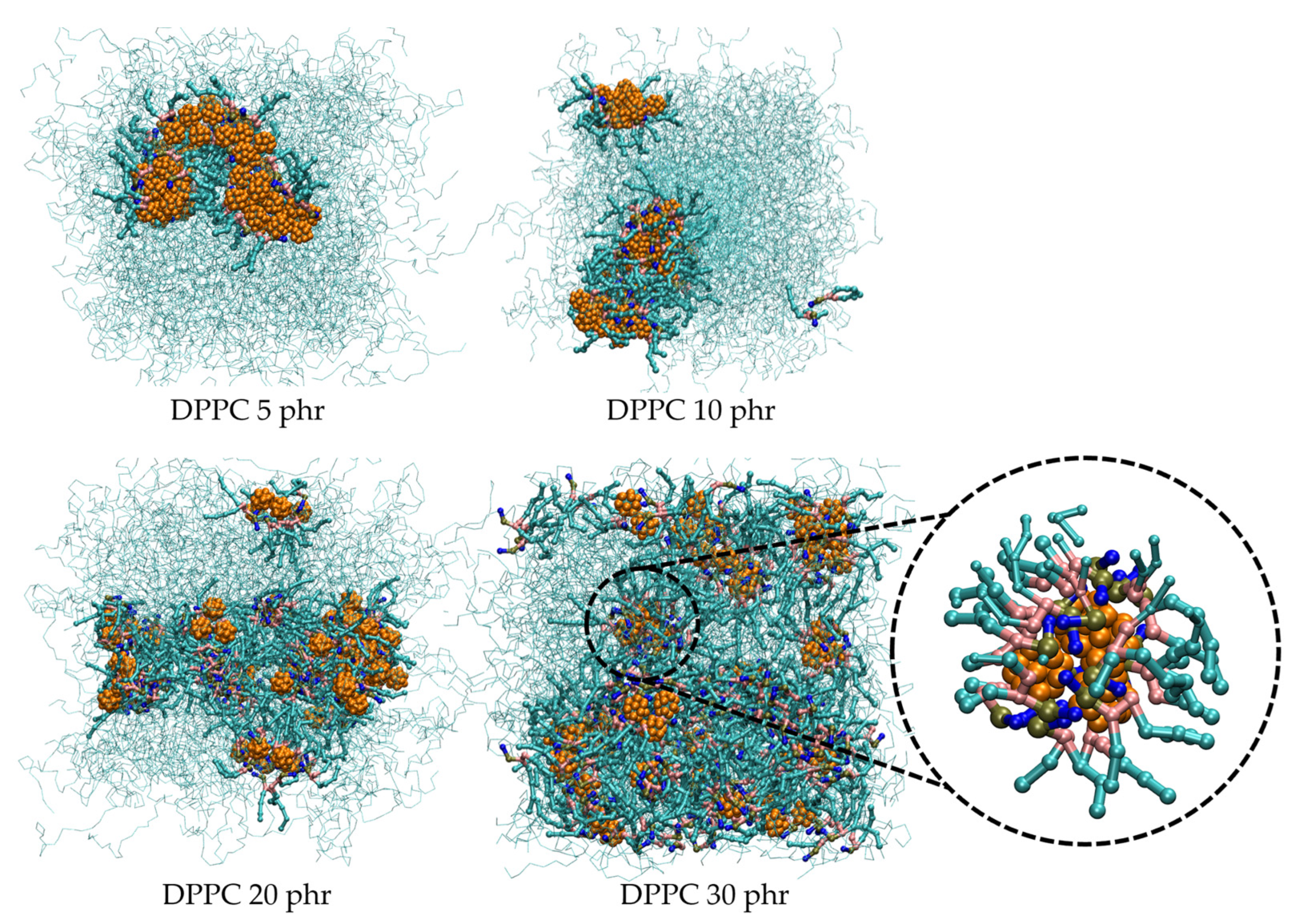 Polymers 16 02901 g003