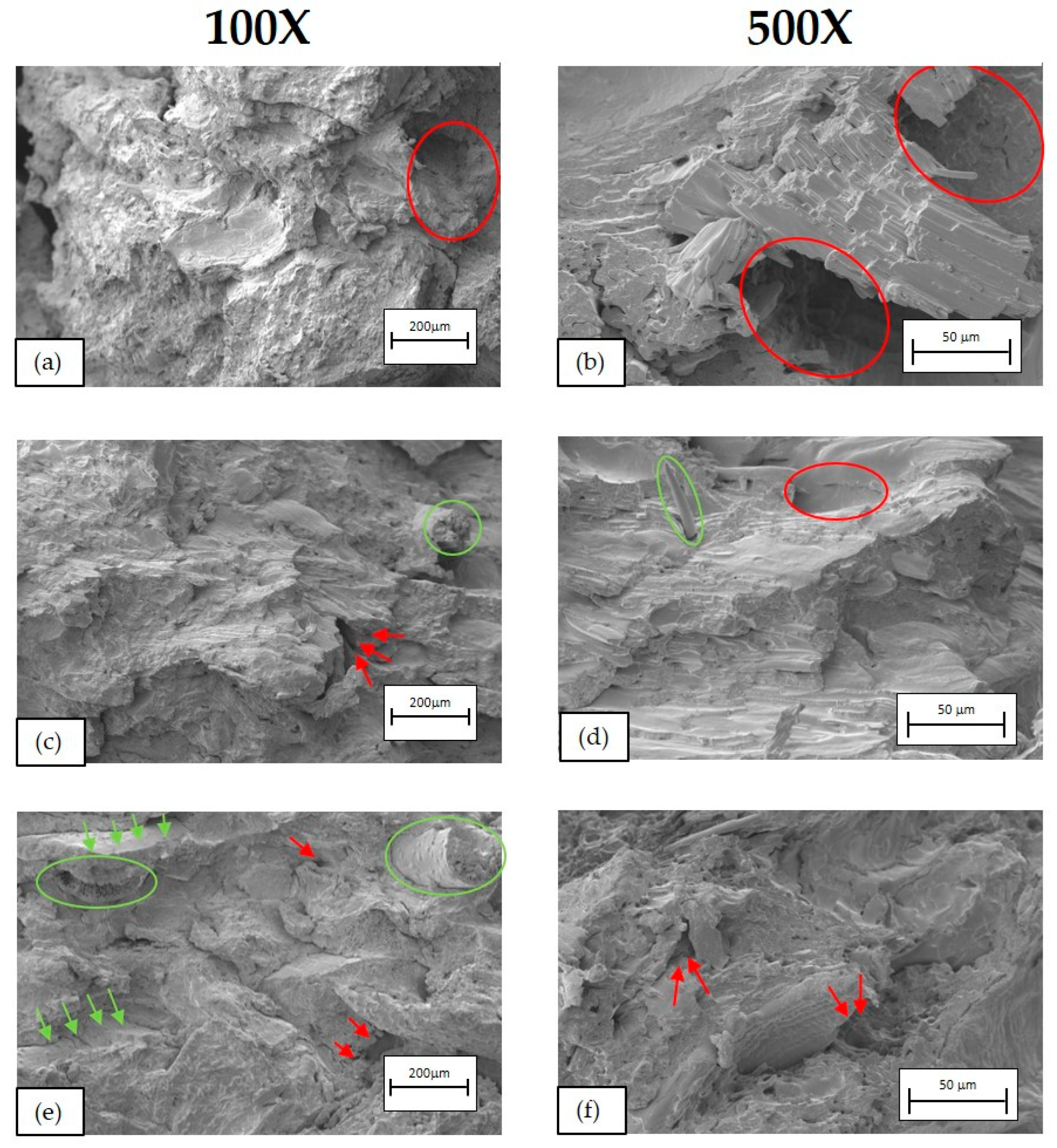 Polymers 16 02916 g018 Polymers 16 02916 g018