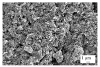 Polymers 16 02917 i006